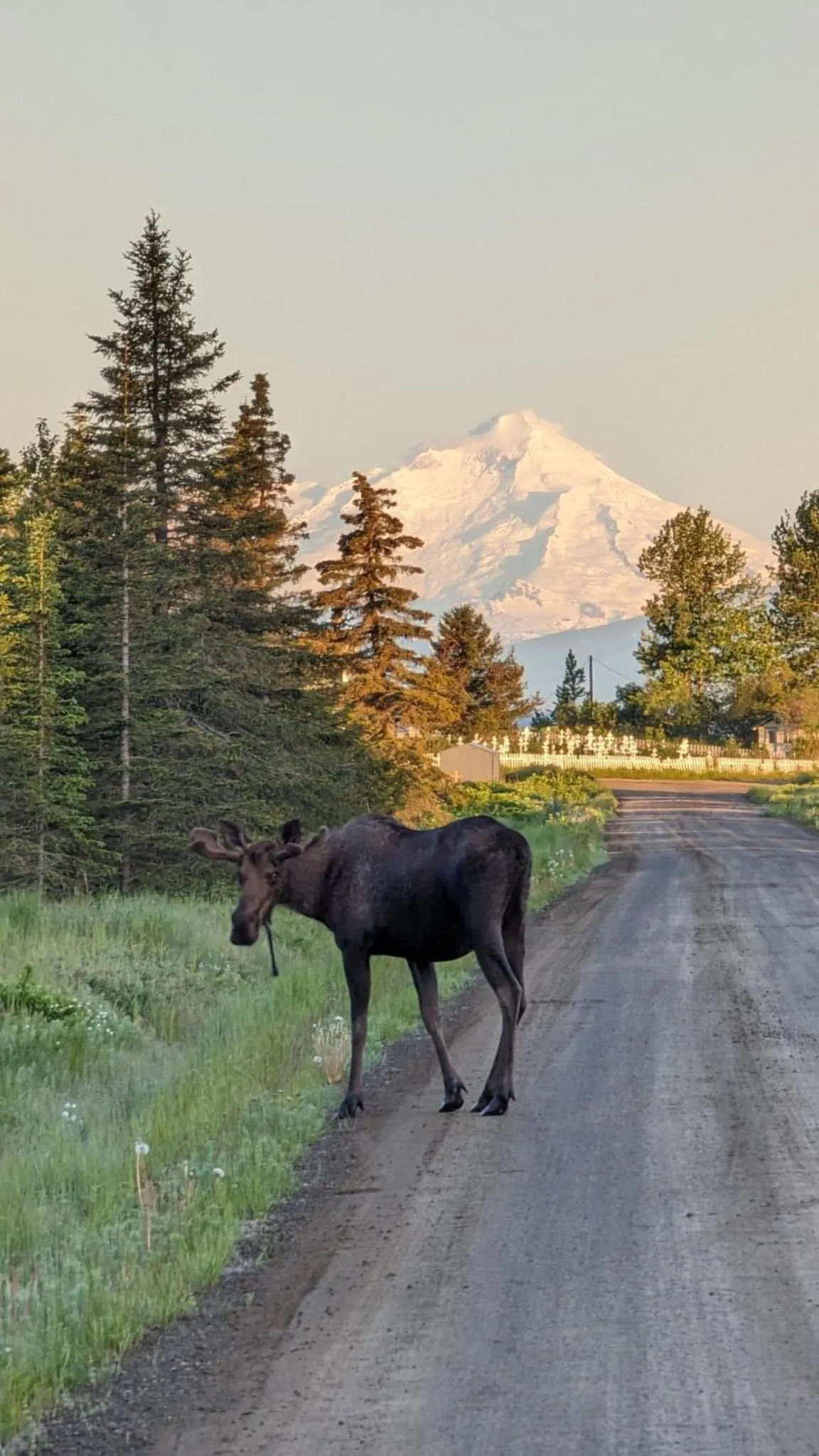 Natural landscape in Southern Bluff Bed & Breakfast