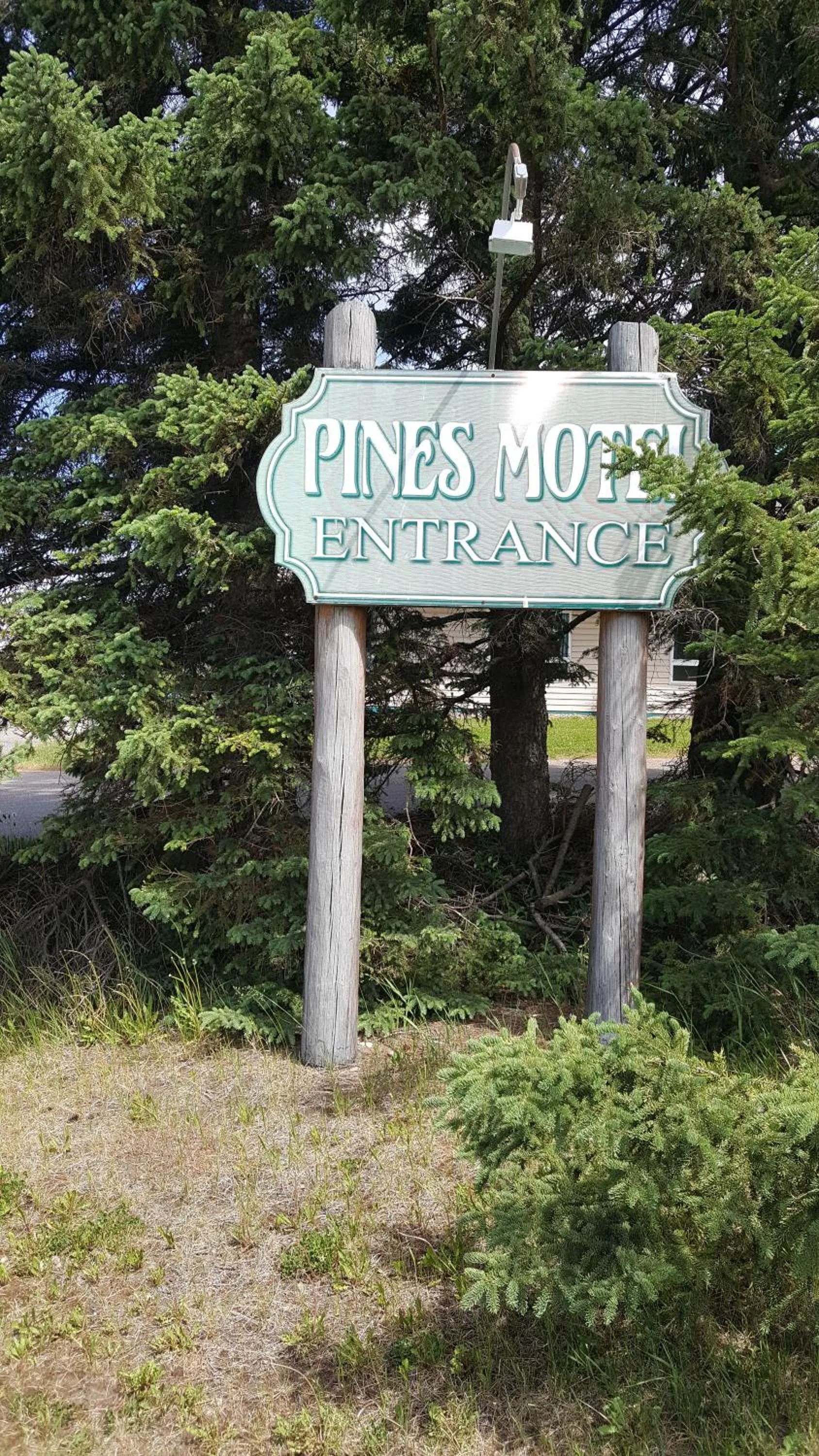 Logo/Certificate/Sign in Pines Motel