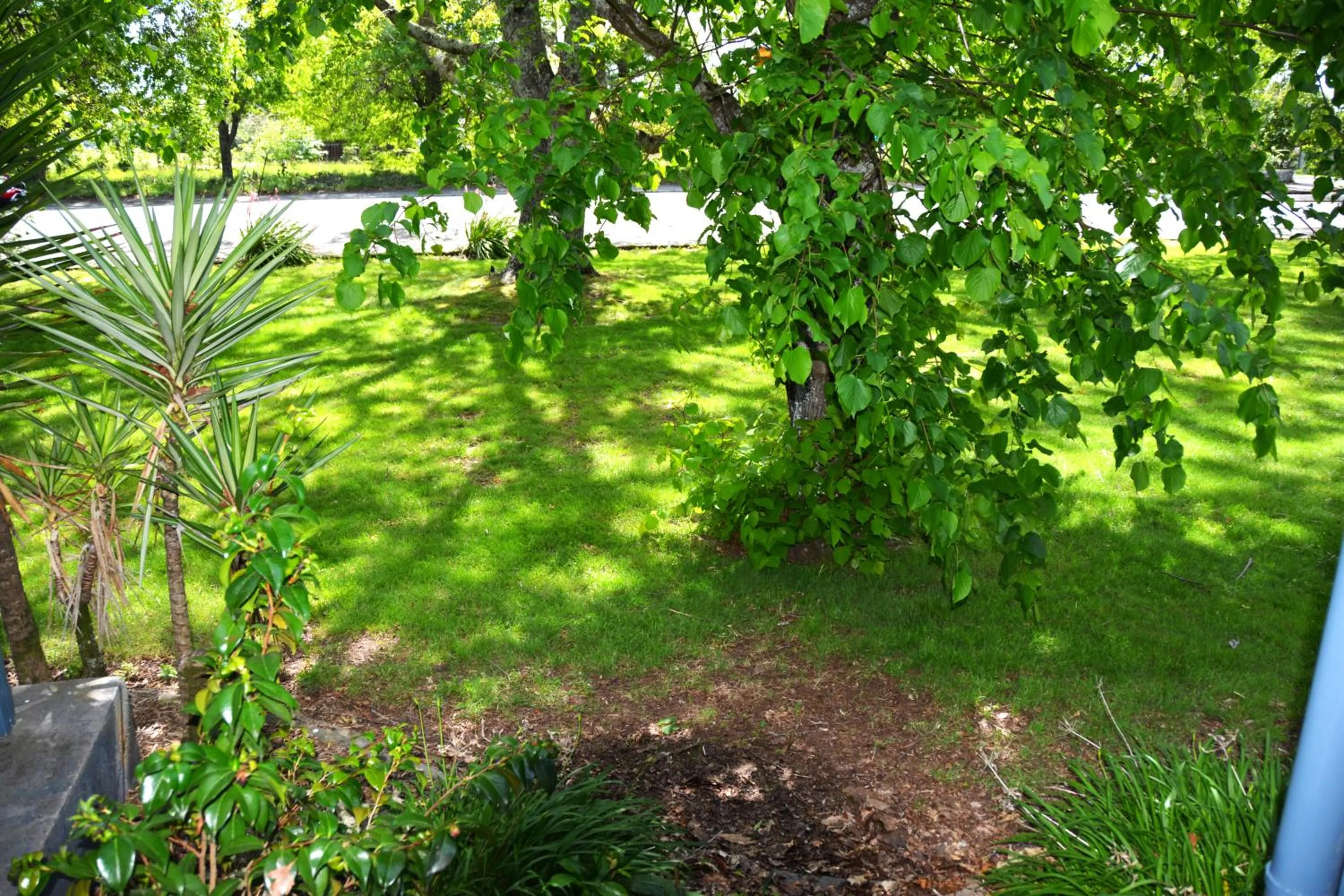 View (from property/room) in ASURE Oak Estate Motor Lodge
