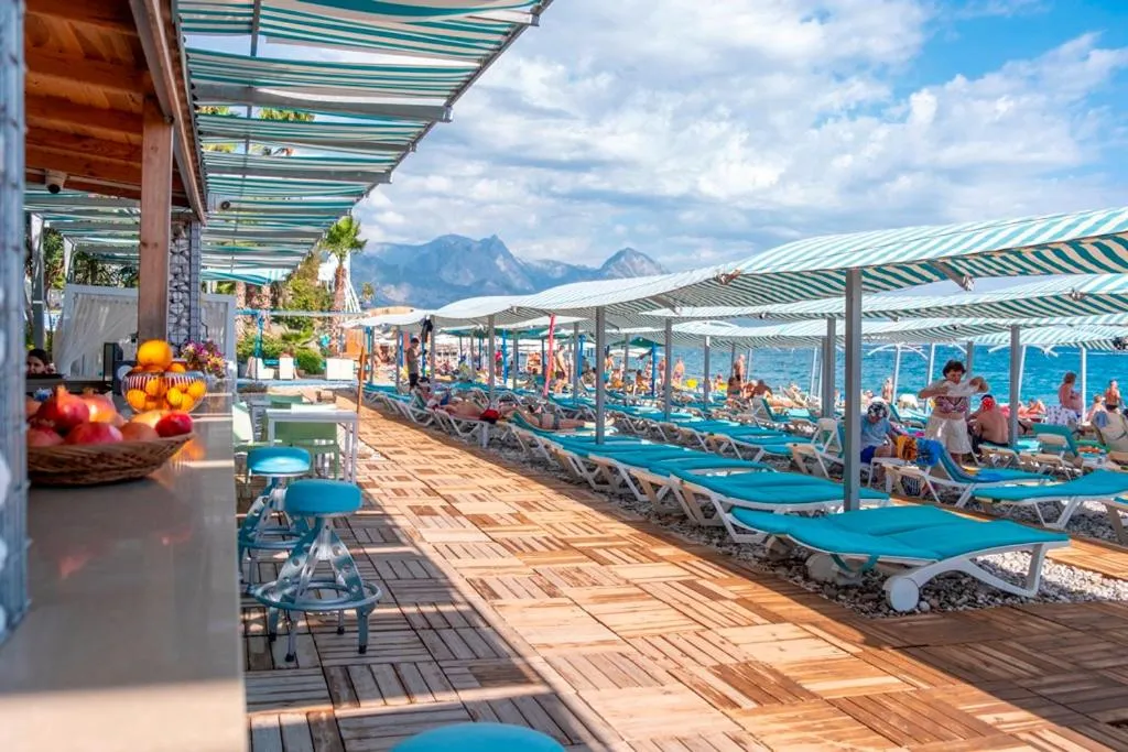 Beach in L'ancora Beach Hotel