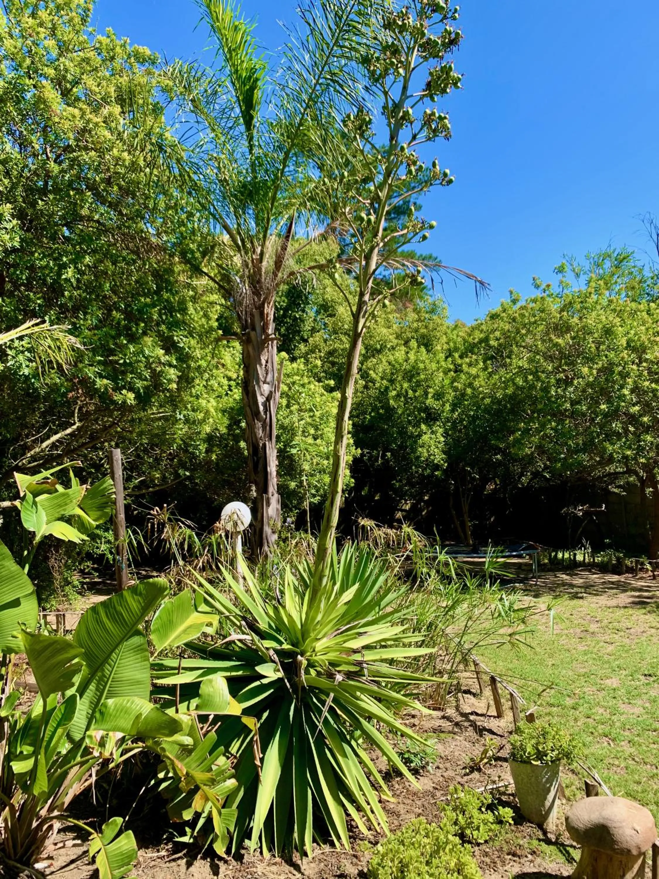 The Little Hideaway Guesthouse