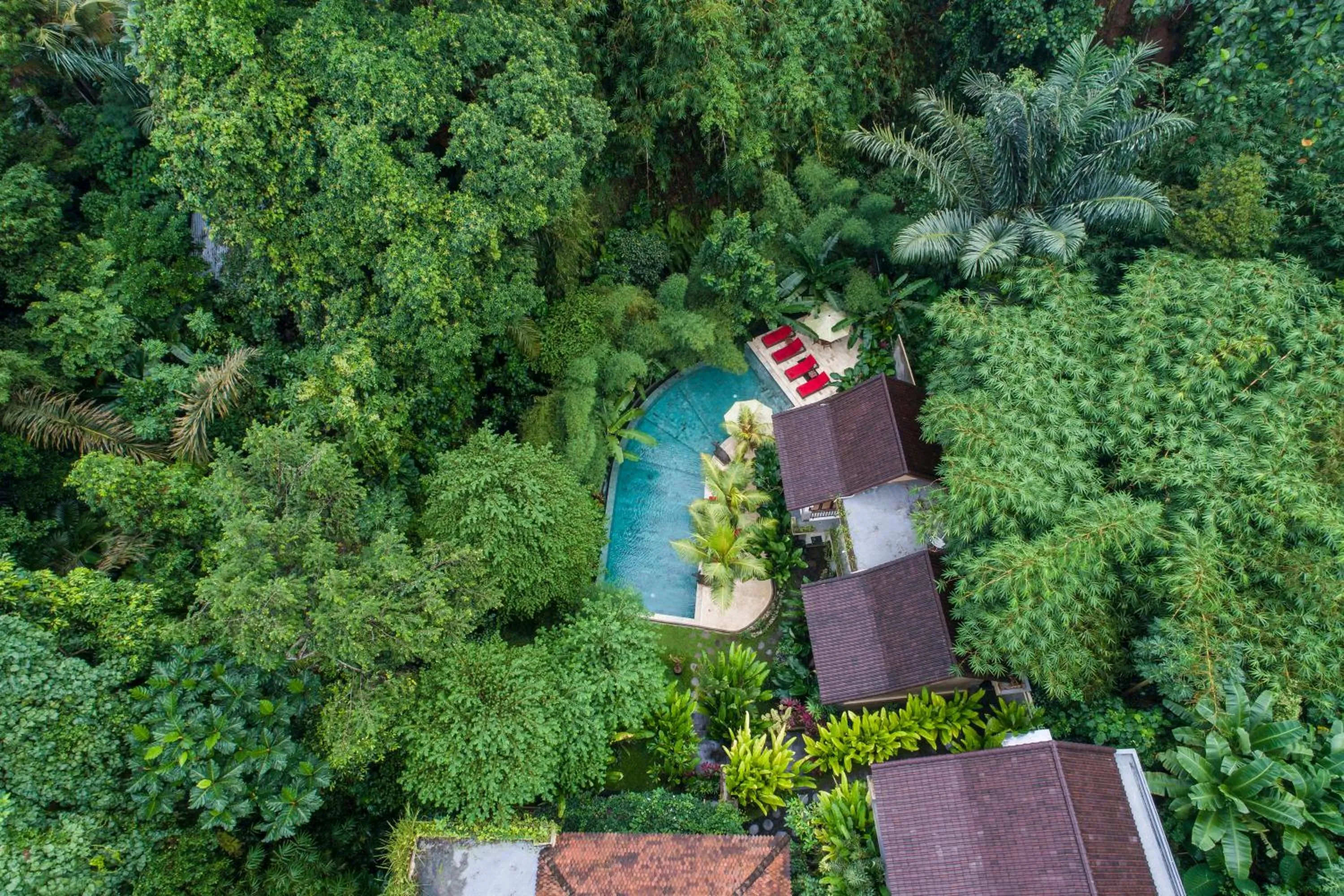 Bird's eye view in Jungle Haven Resort Central Ubud