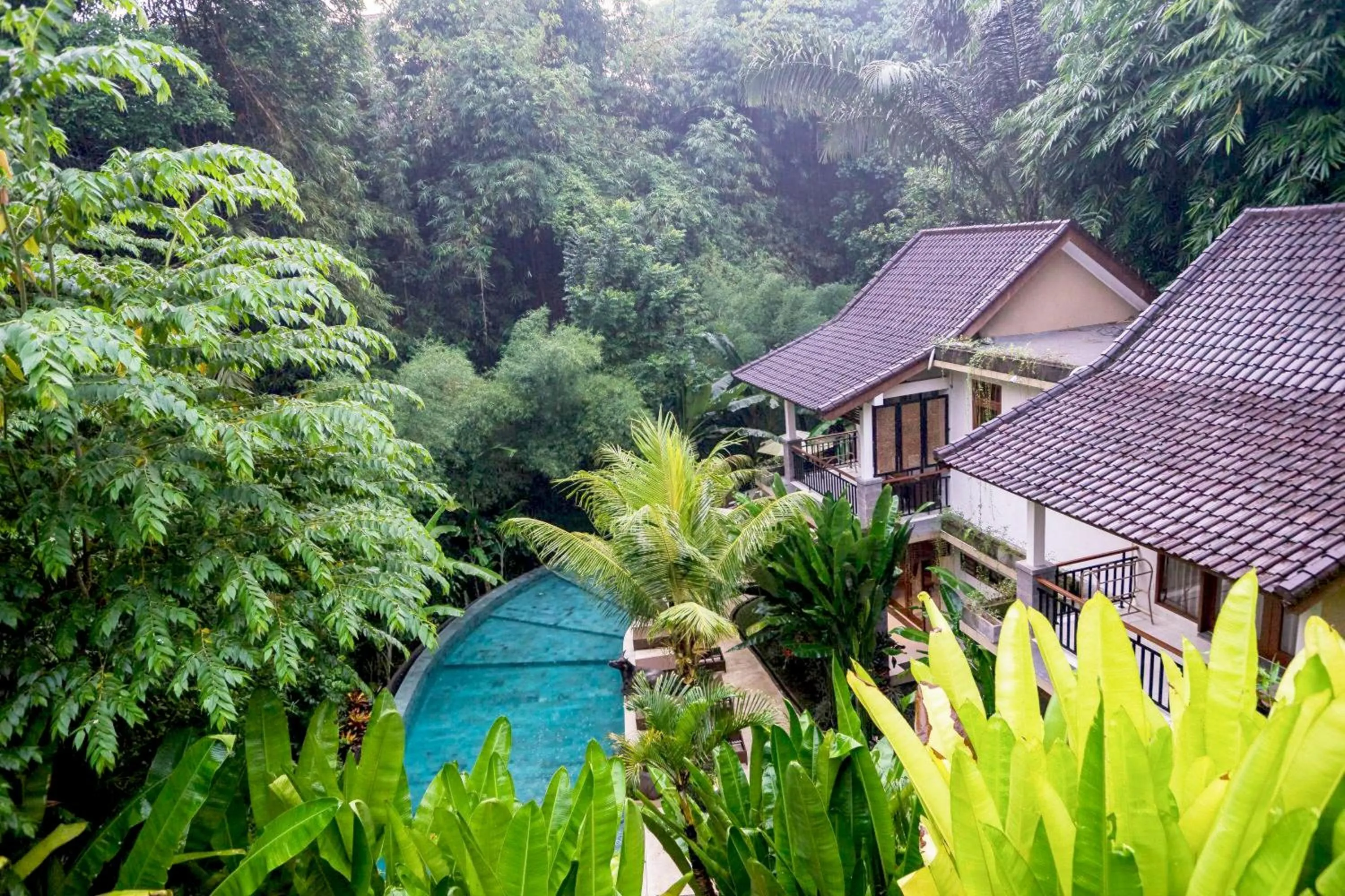 Swimming pool in Jungle Haven Resort Central Ubud