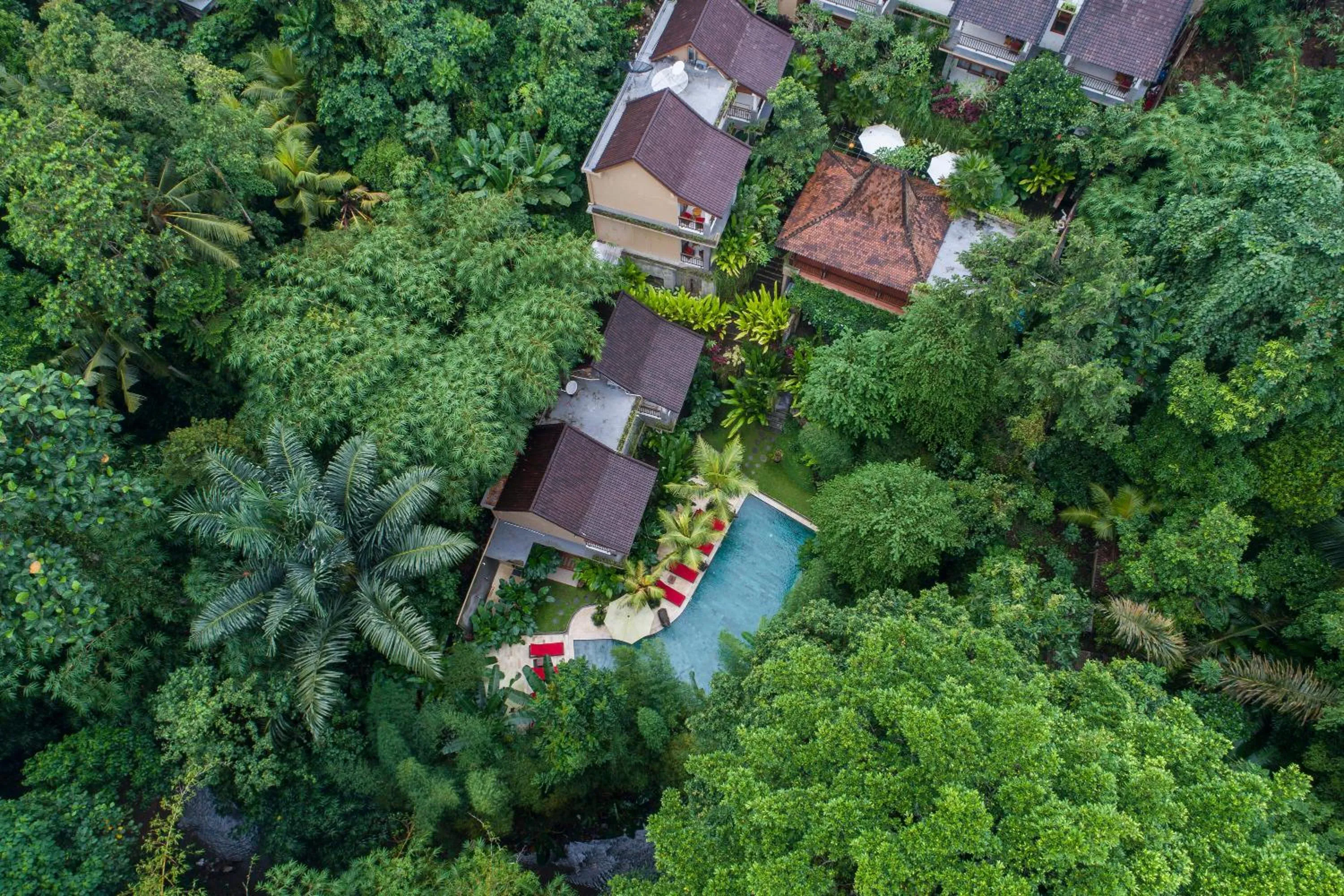 Bird's eye view in Jungle Haven Resort Central Ubud