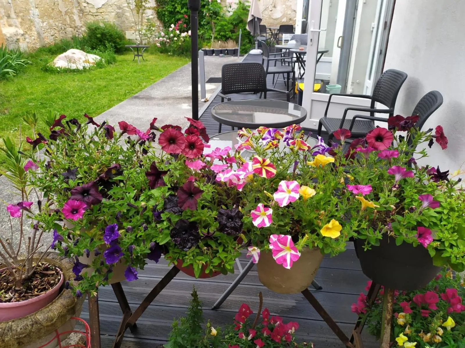 Garden in Les Bains Douches