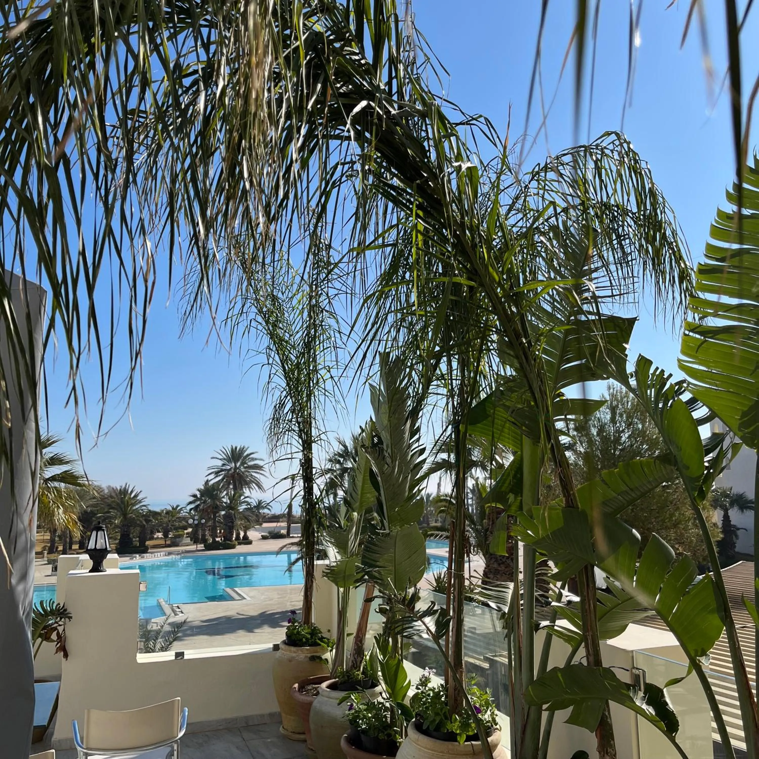 Pool view in Vincci Marillia