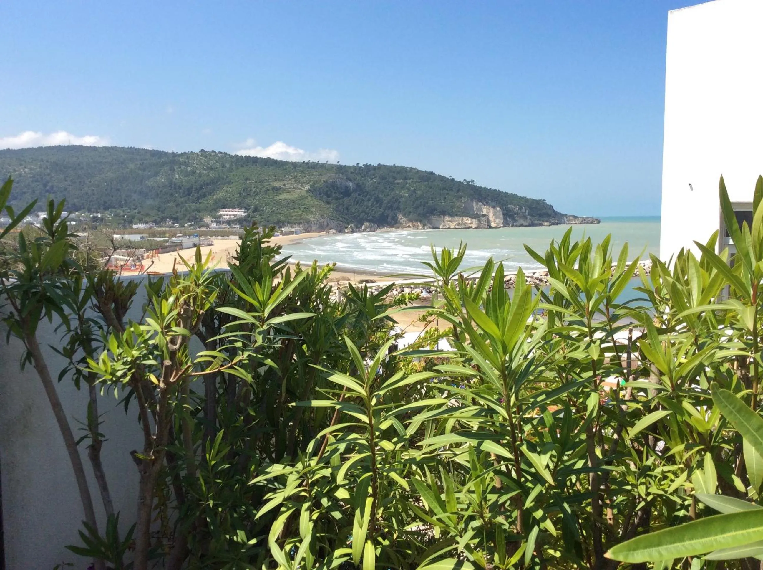 Balcony/Terrace in Hotel Elisa - Spiaggia Privata Inclusa