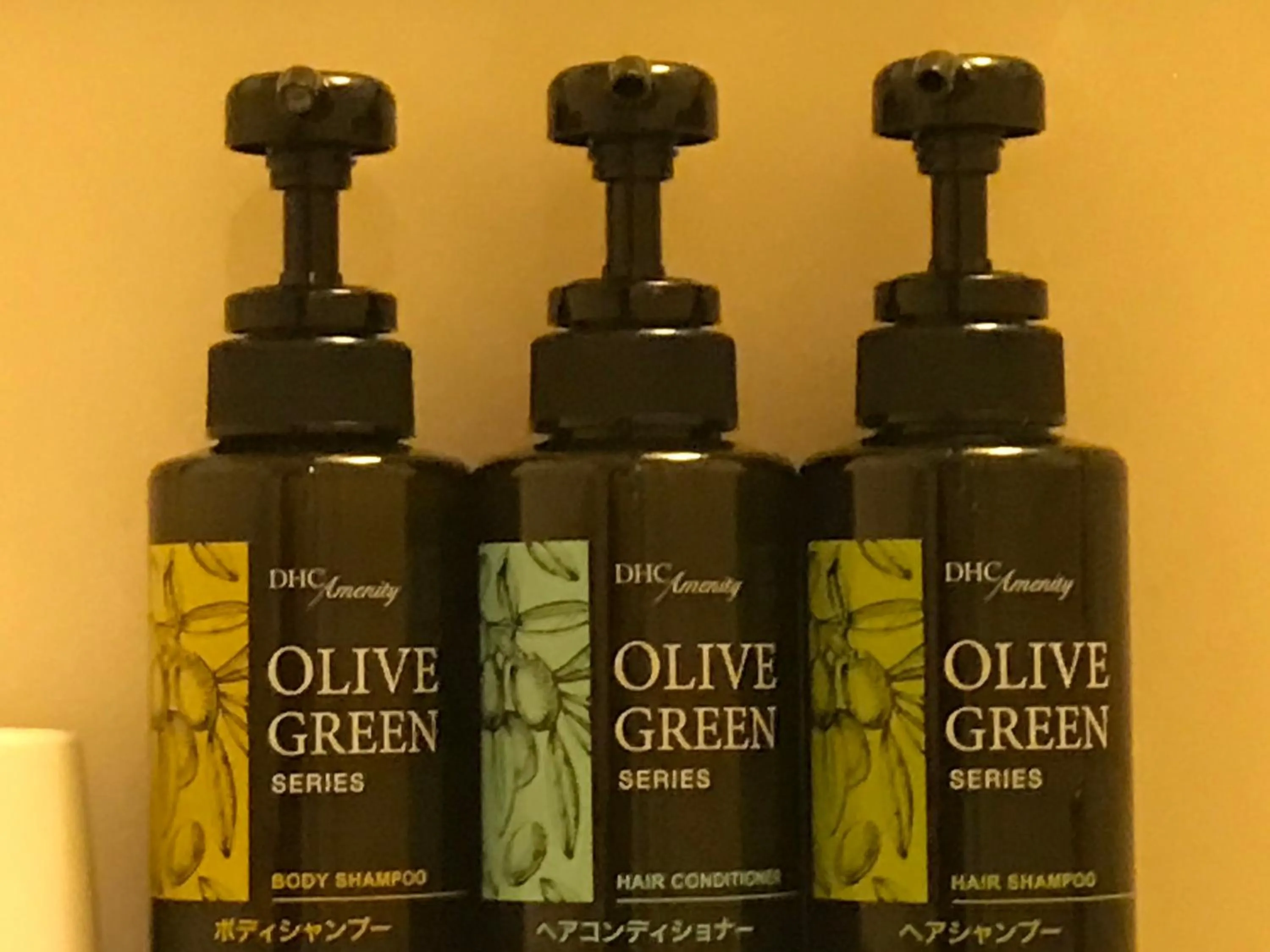 Via Inn Hiroshima Kanayamacho