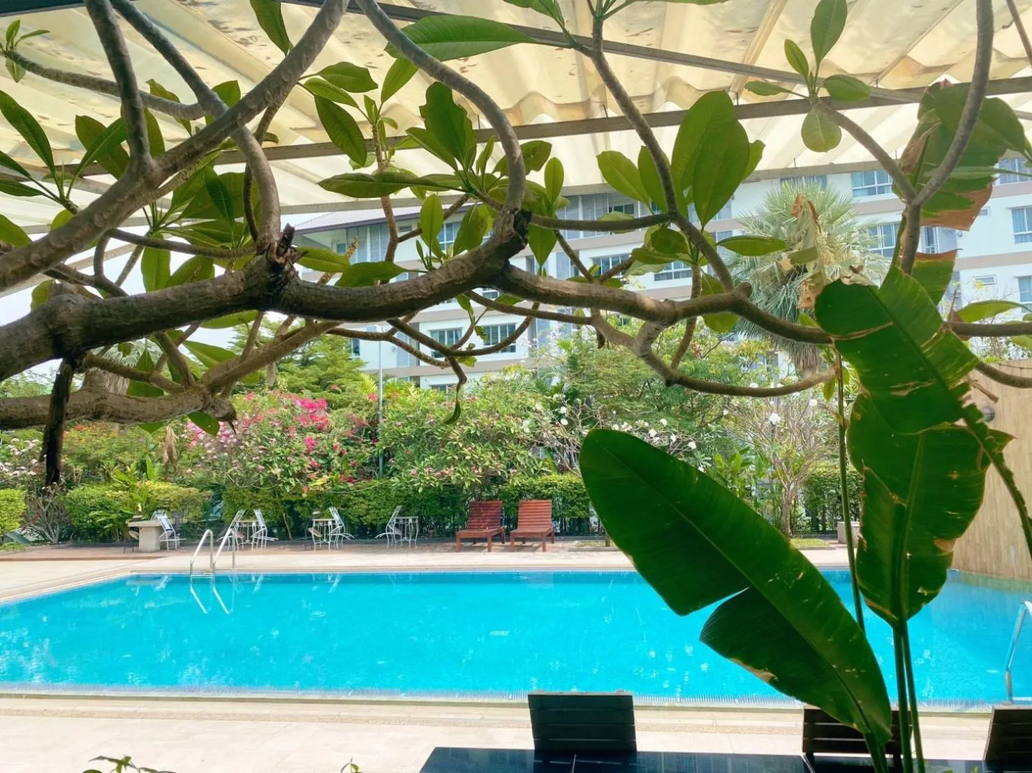 Swimming pool in J Park Hotel - SHA Extra Plus