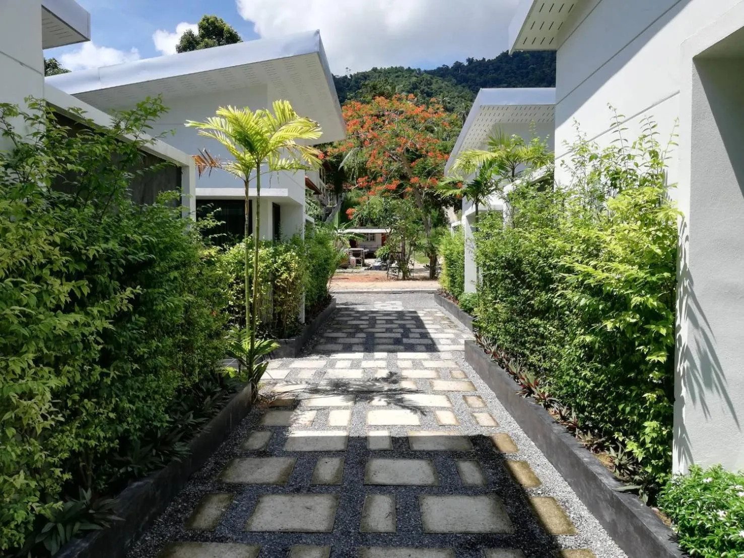 Property building in Limelight Village