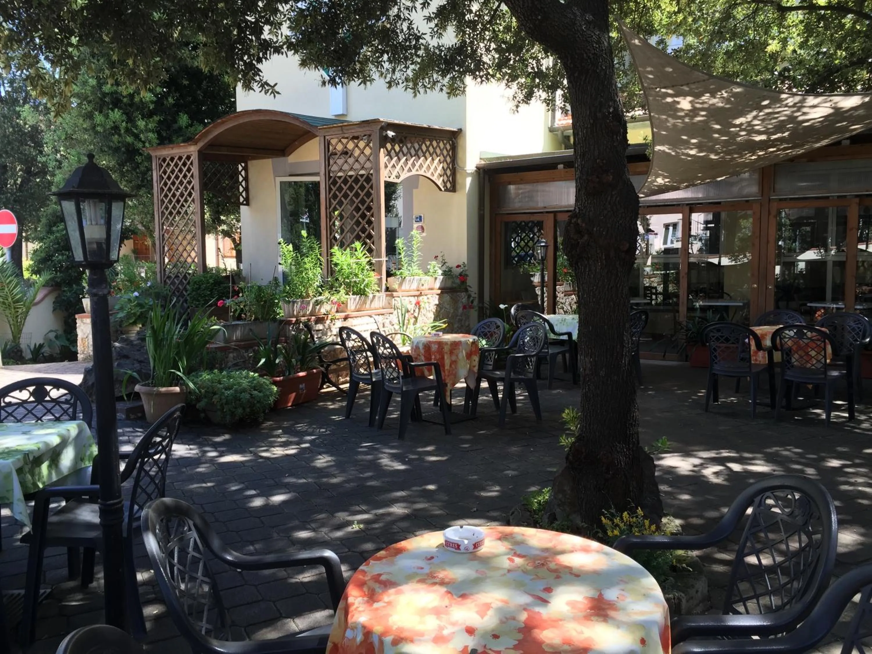 Garden in Hotel Il Pino