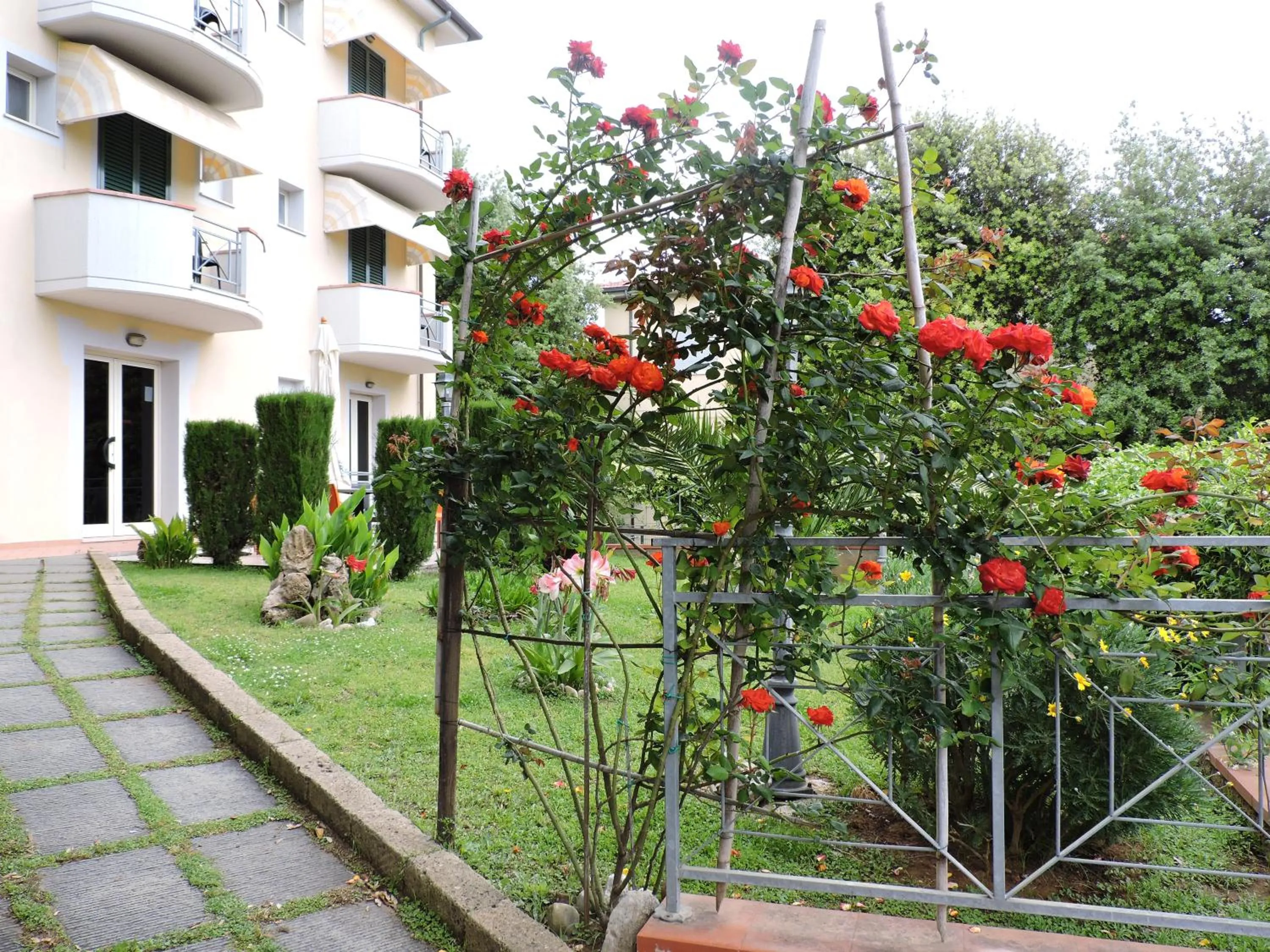 Garden in Hotel Il Pino