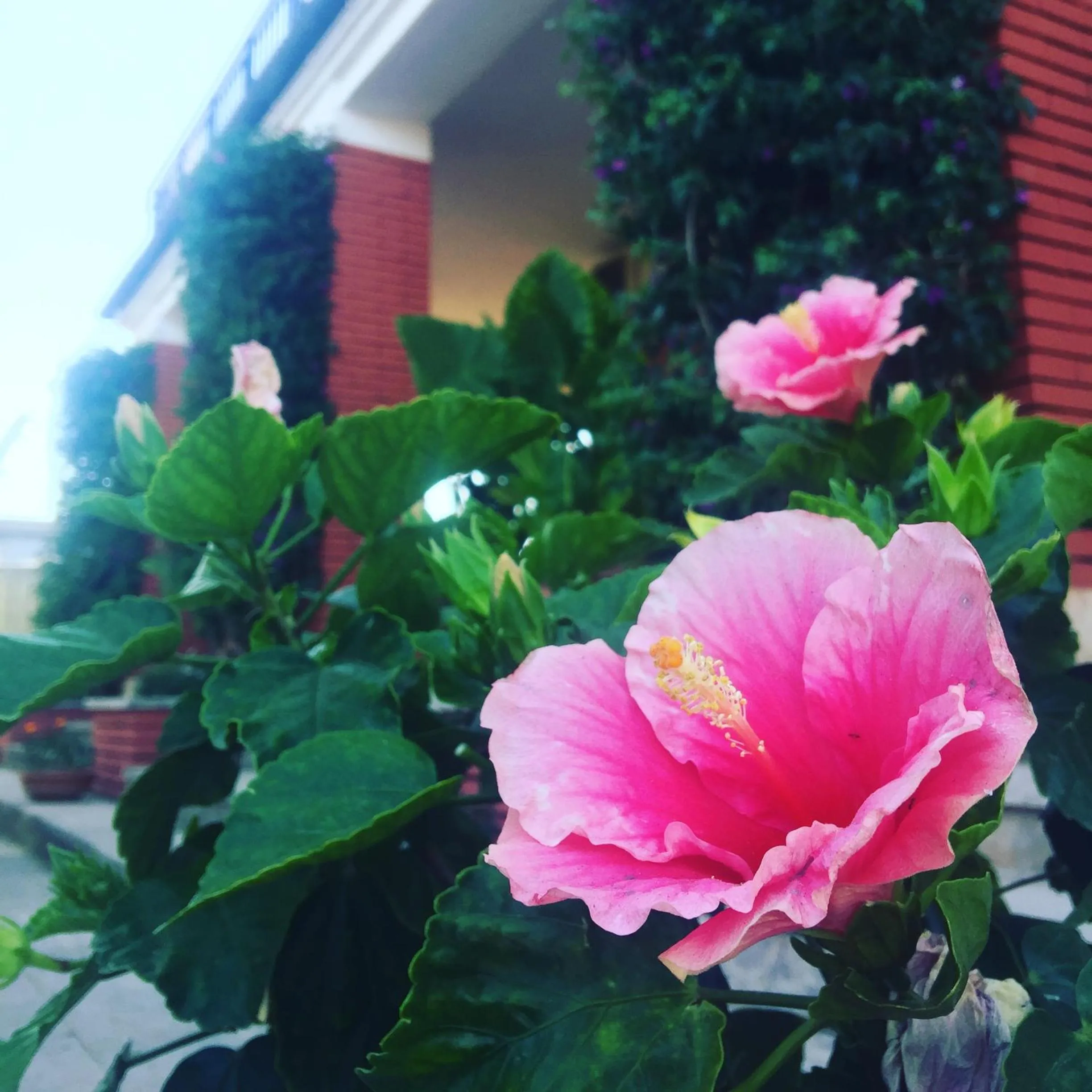 Garden in Residenza Campus Roma