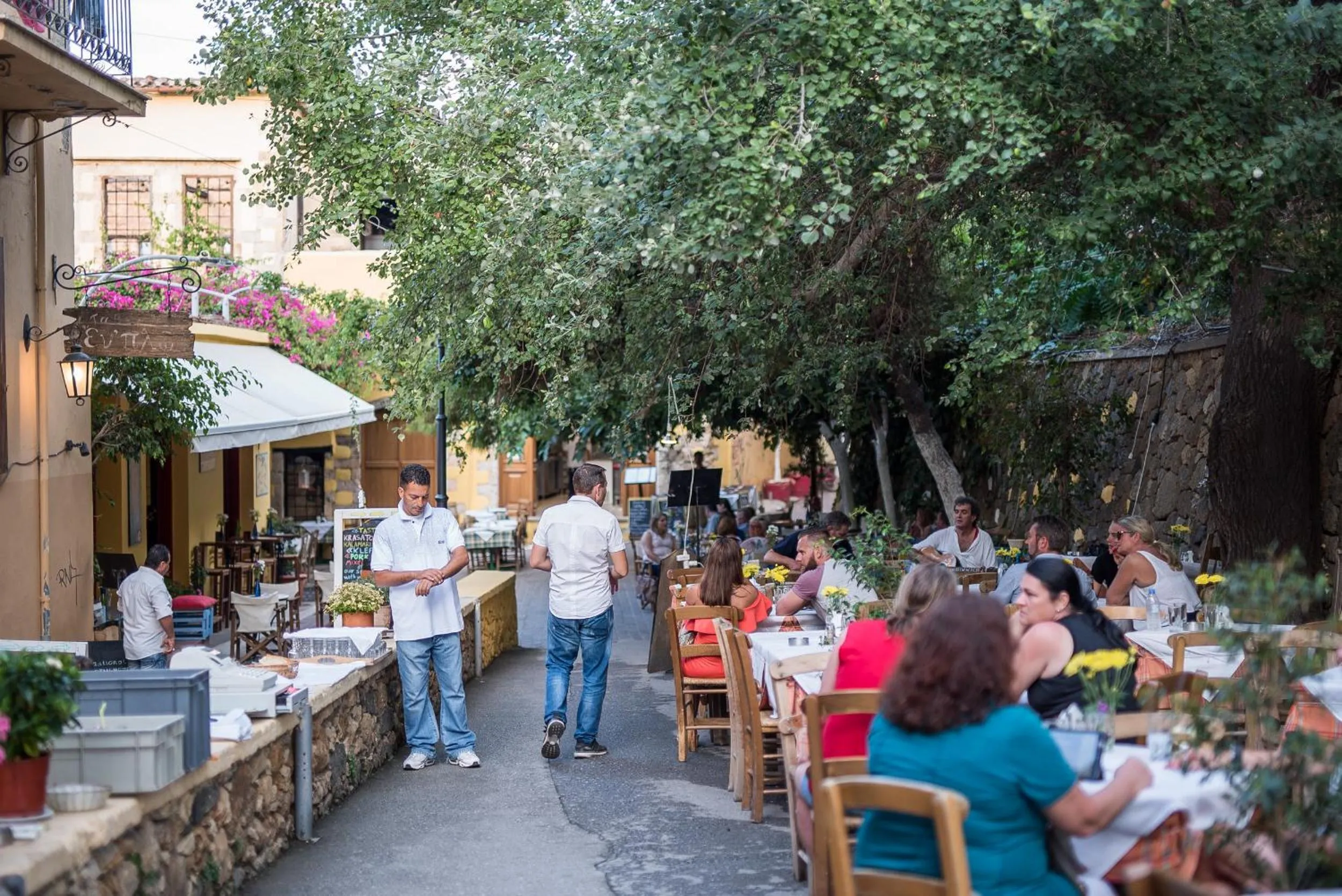 Restaurant/places to eat in Elia Portou Due