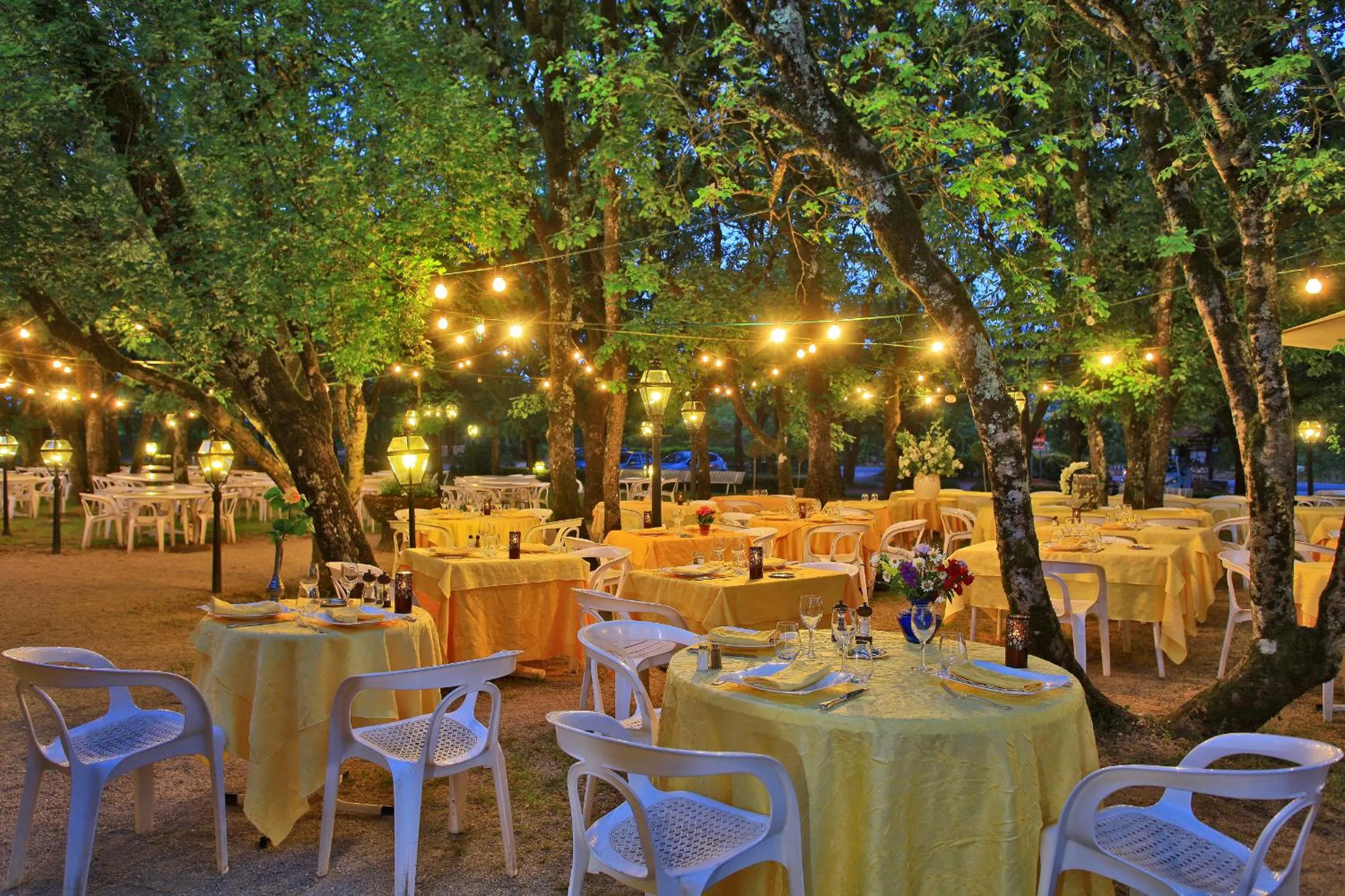 Restaurant/places to eat in Hôtel Restaurant du Château