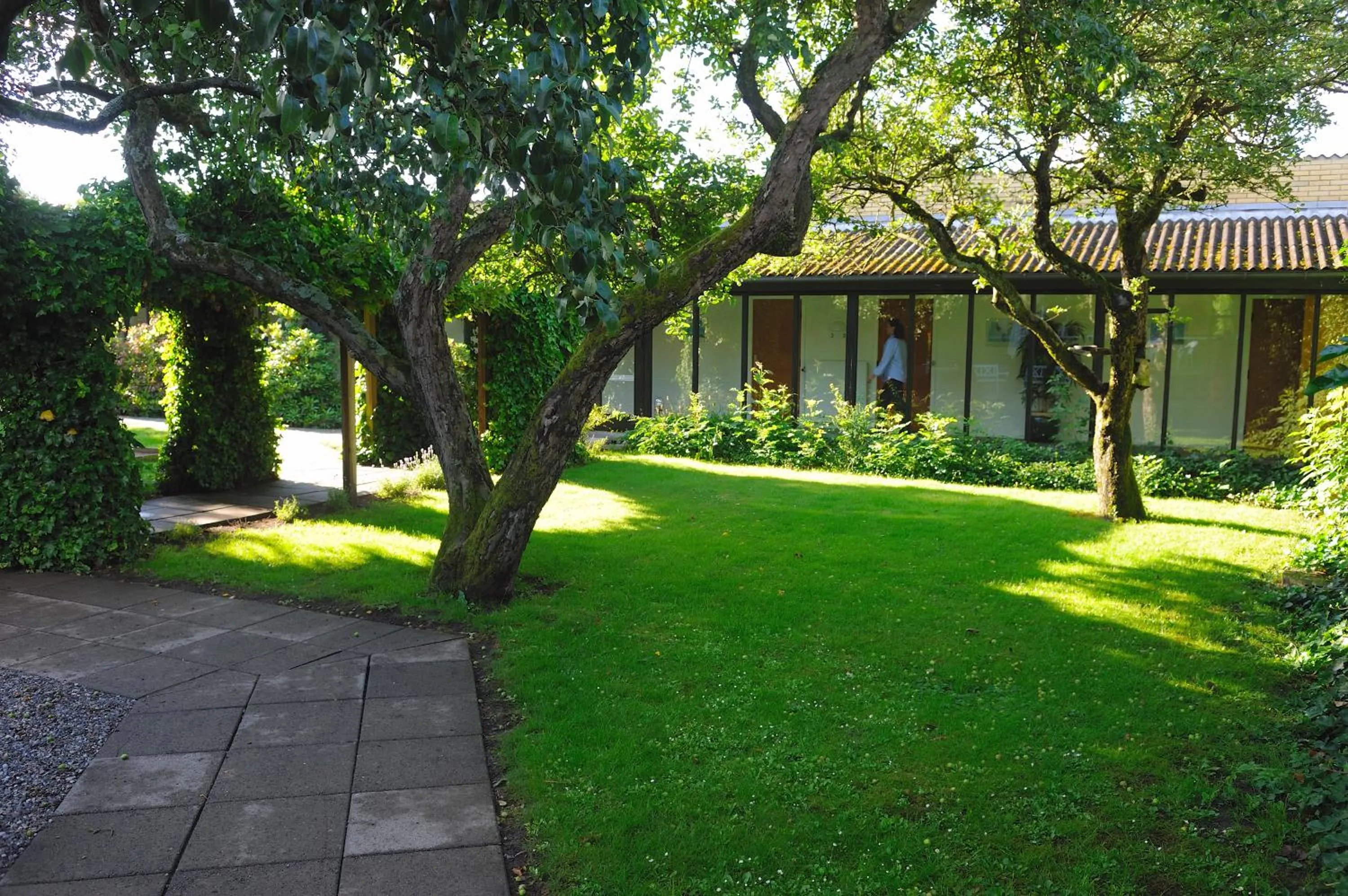 Garden in Hotel Balka Strand