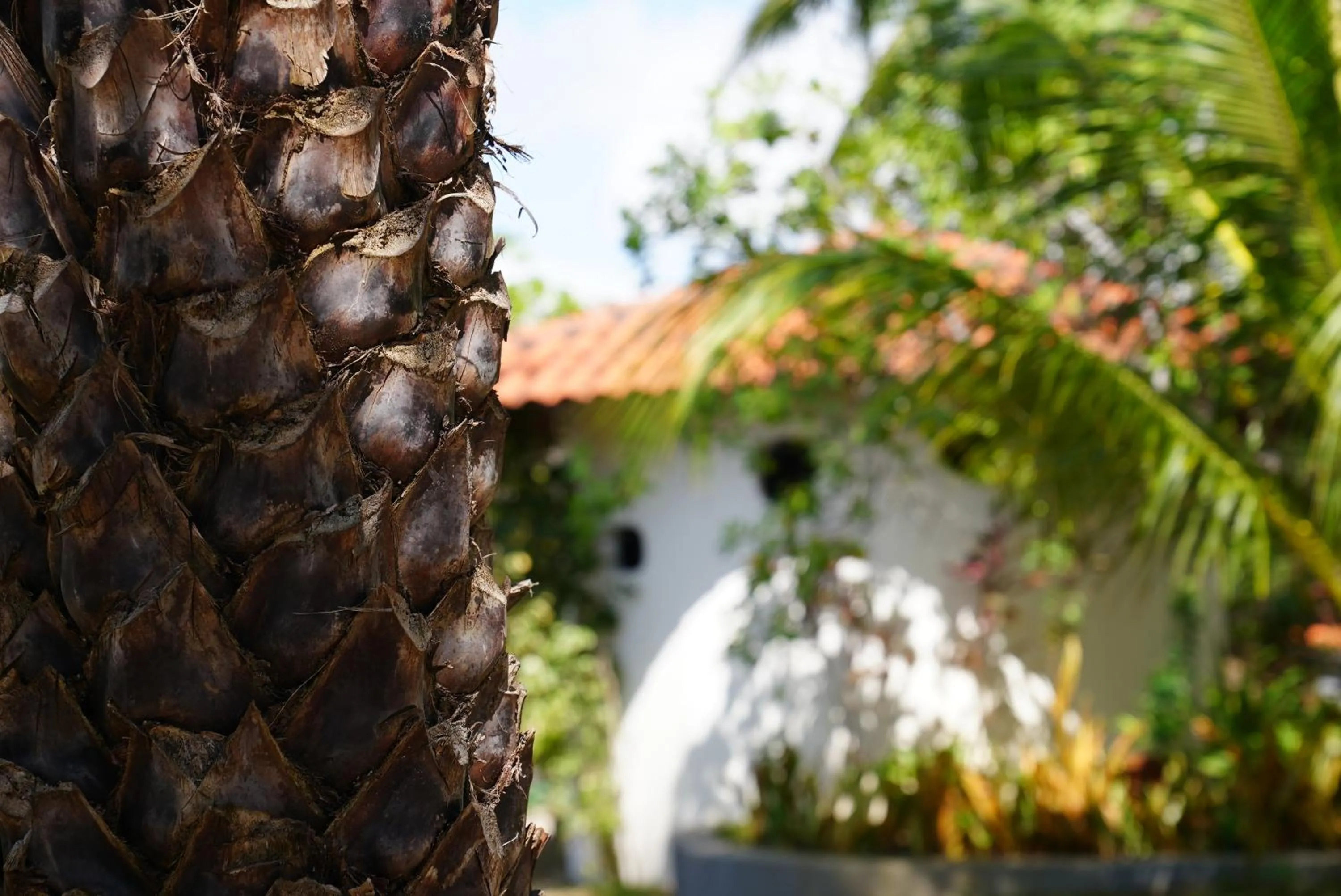 Property building in La Ferme De Georges