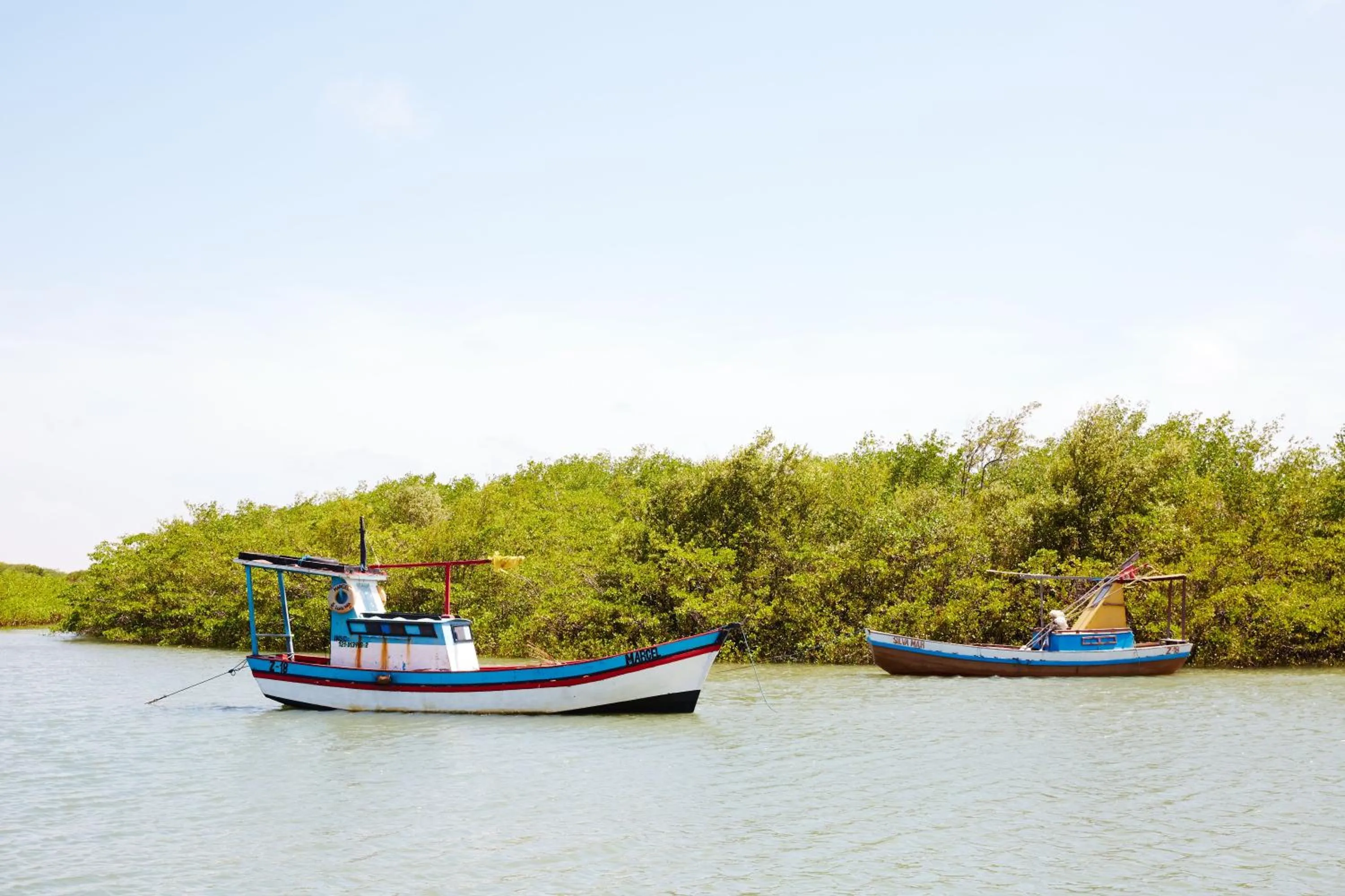 Activities in La Ferme De Georges