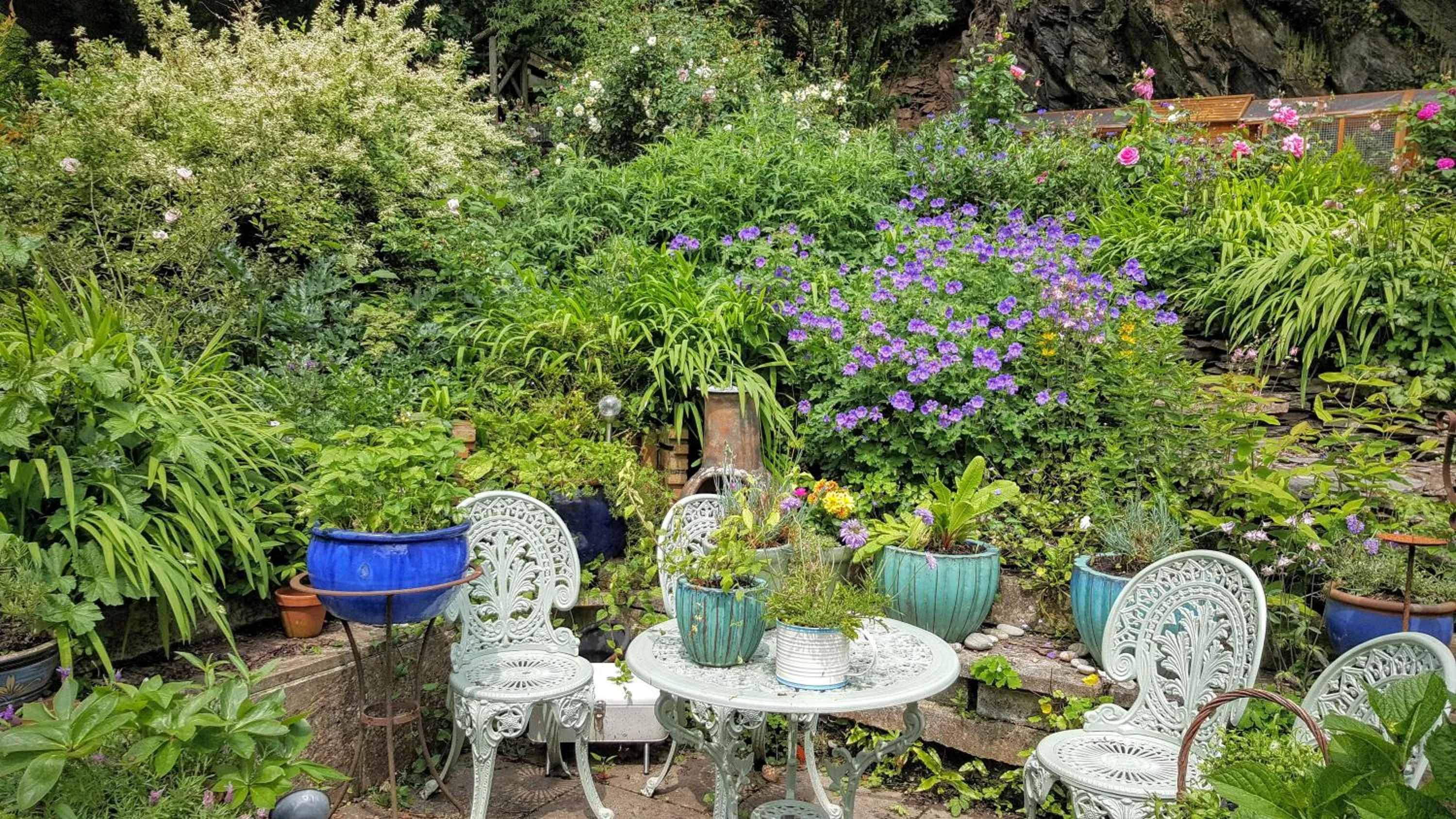 Garden in Tracebridge Cottage B&B