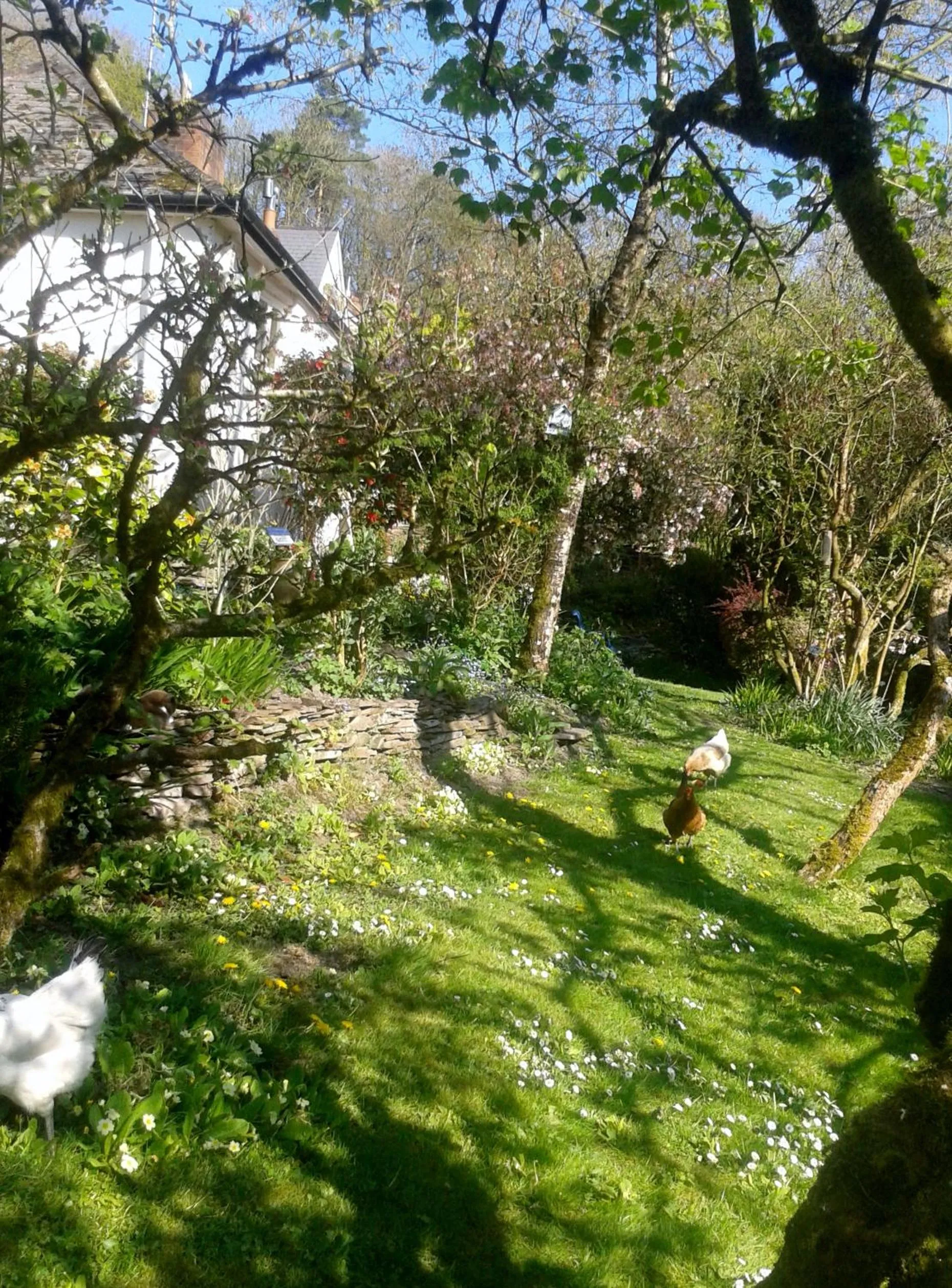 Garden in Tracebridge Cottage B&B