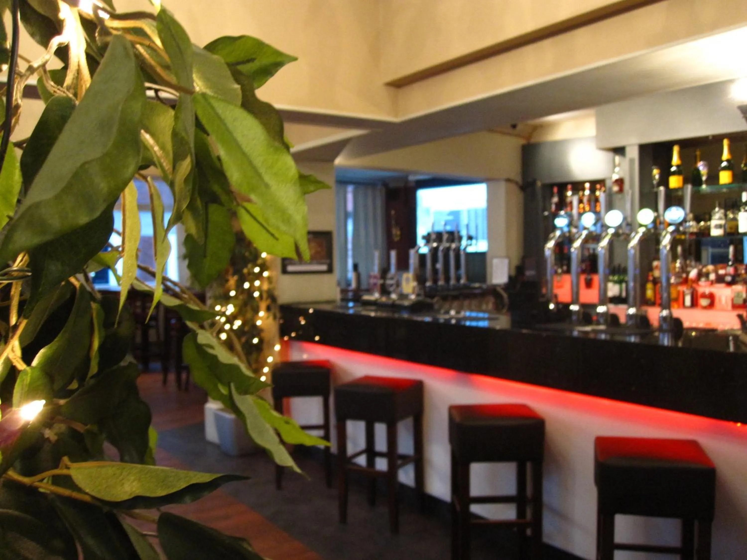 Restaurant/places to eat in Qudos