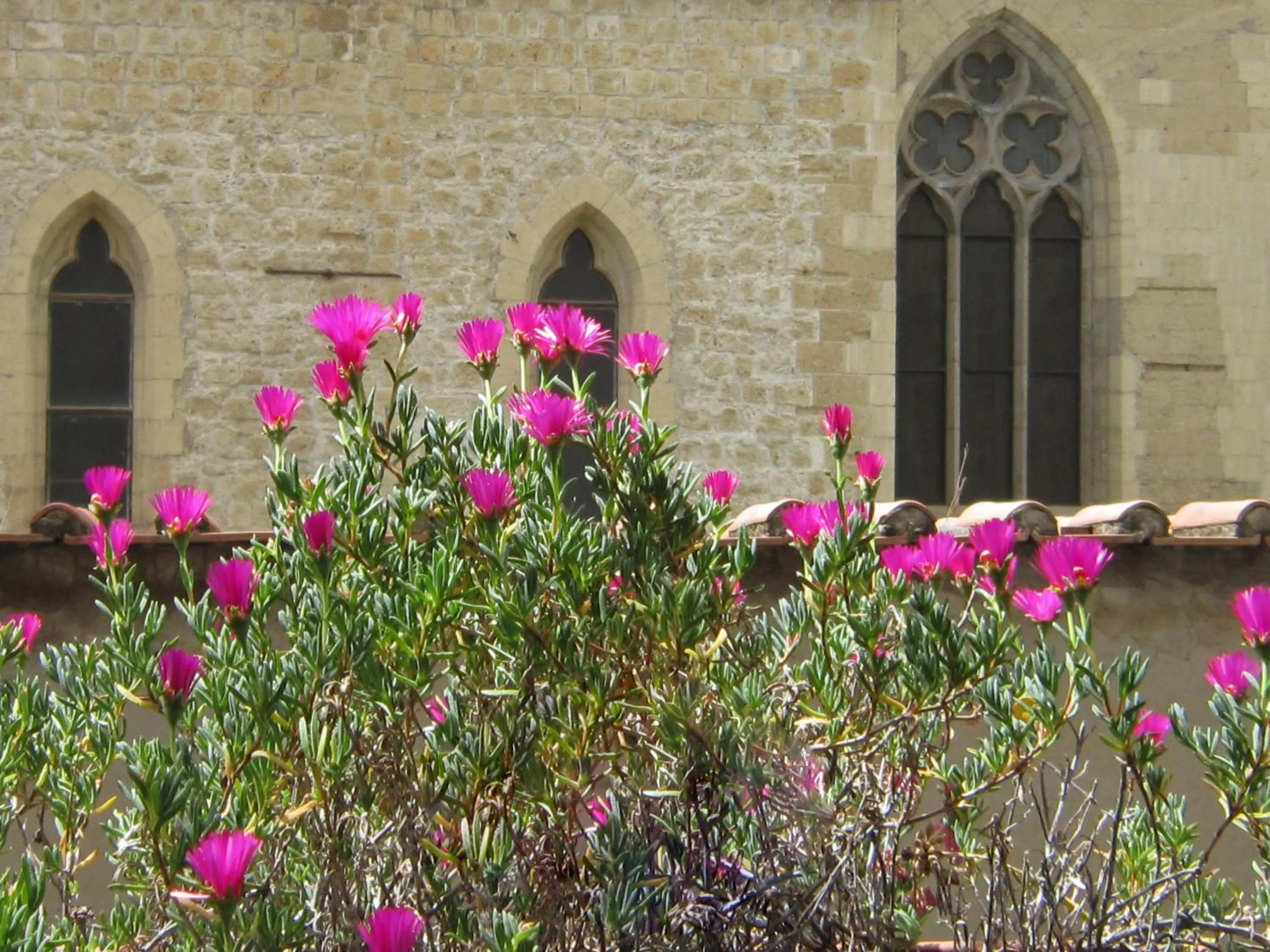 Landmark view in Hotel Meublè Santa Chiara Suite