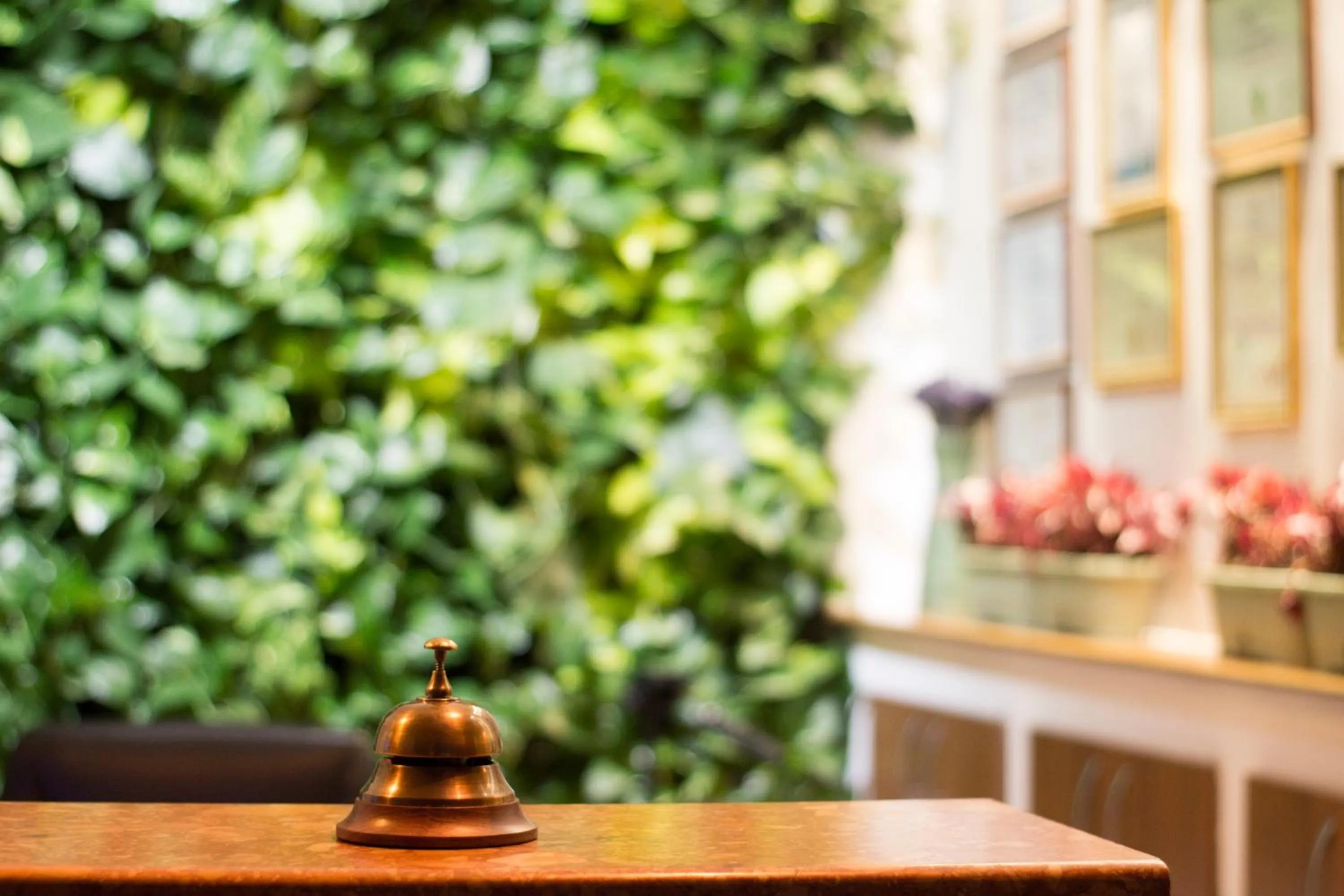 Day in Hotel Dragului