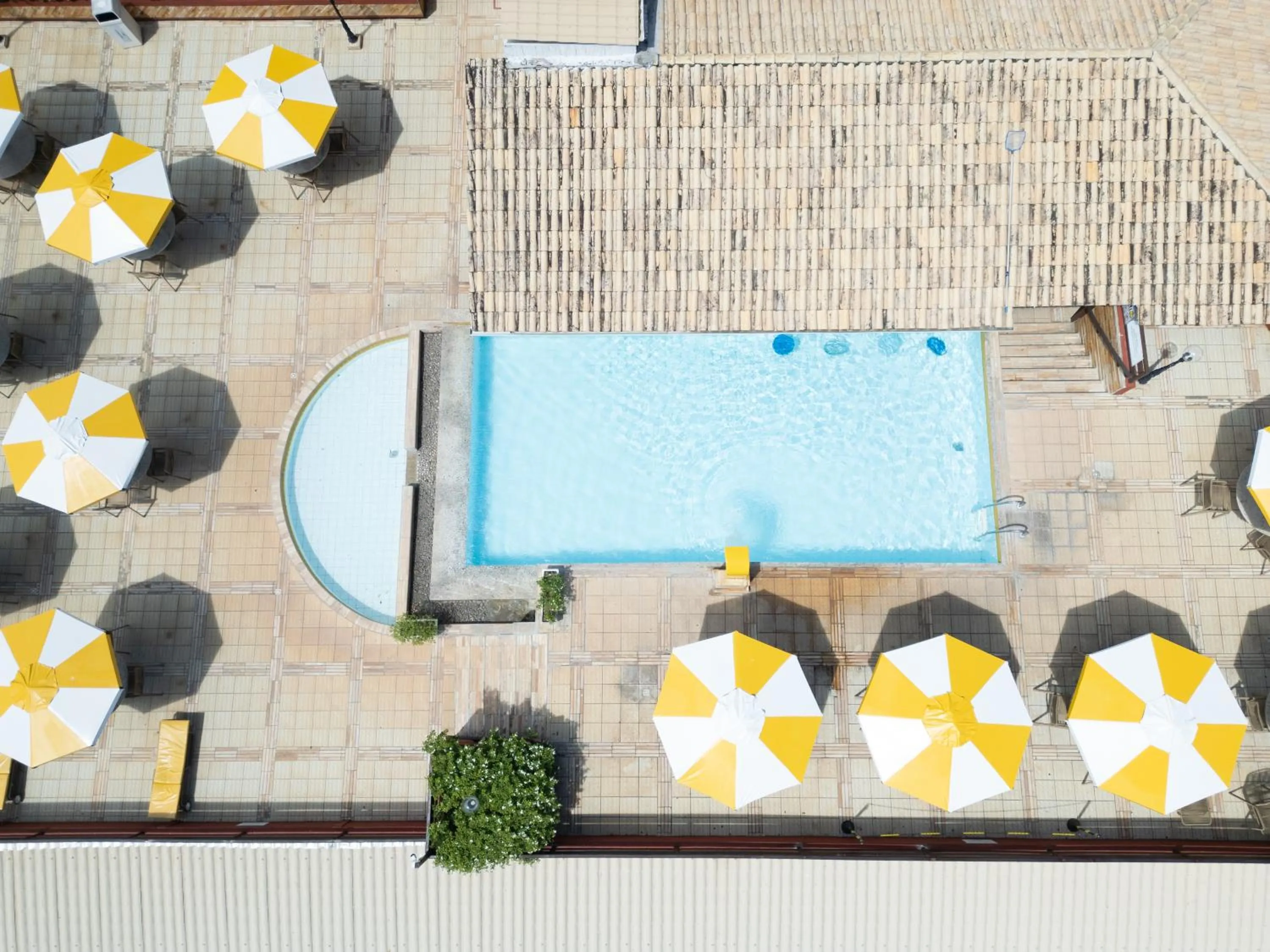 Pipas Ocean by Pipa Centro