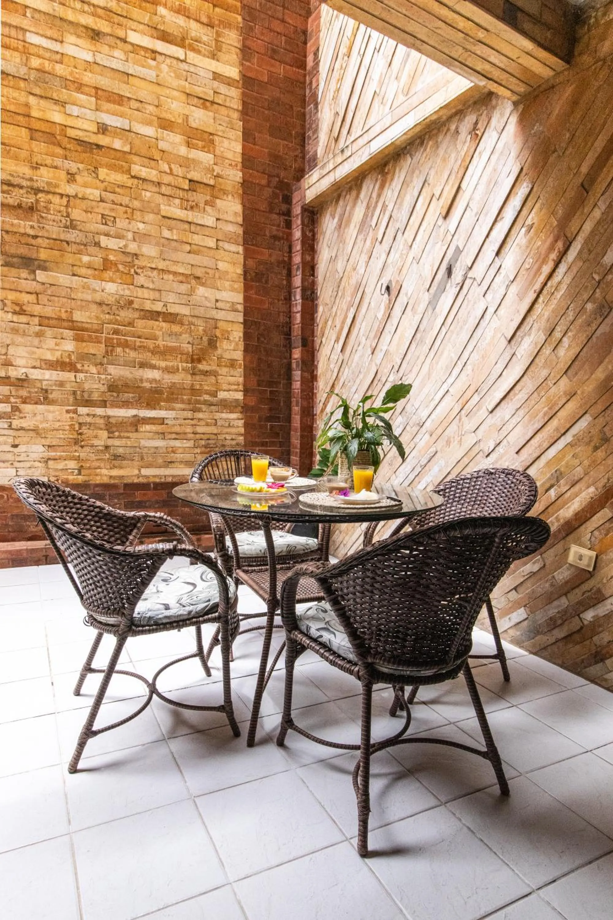 Pipas Ocean by Pipa Centro