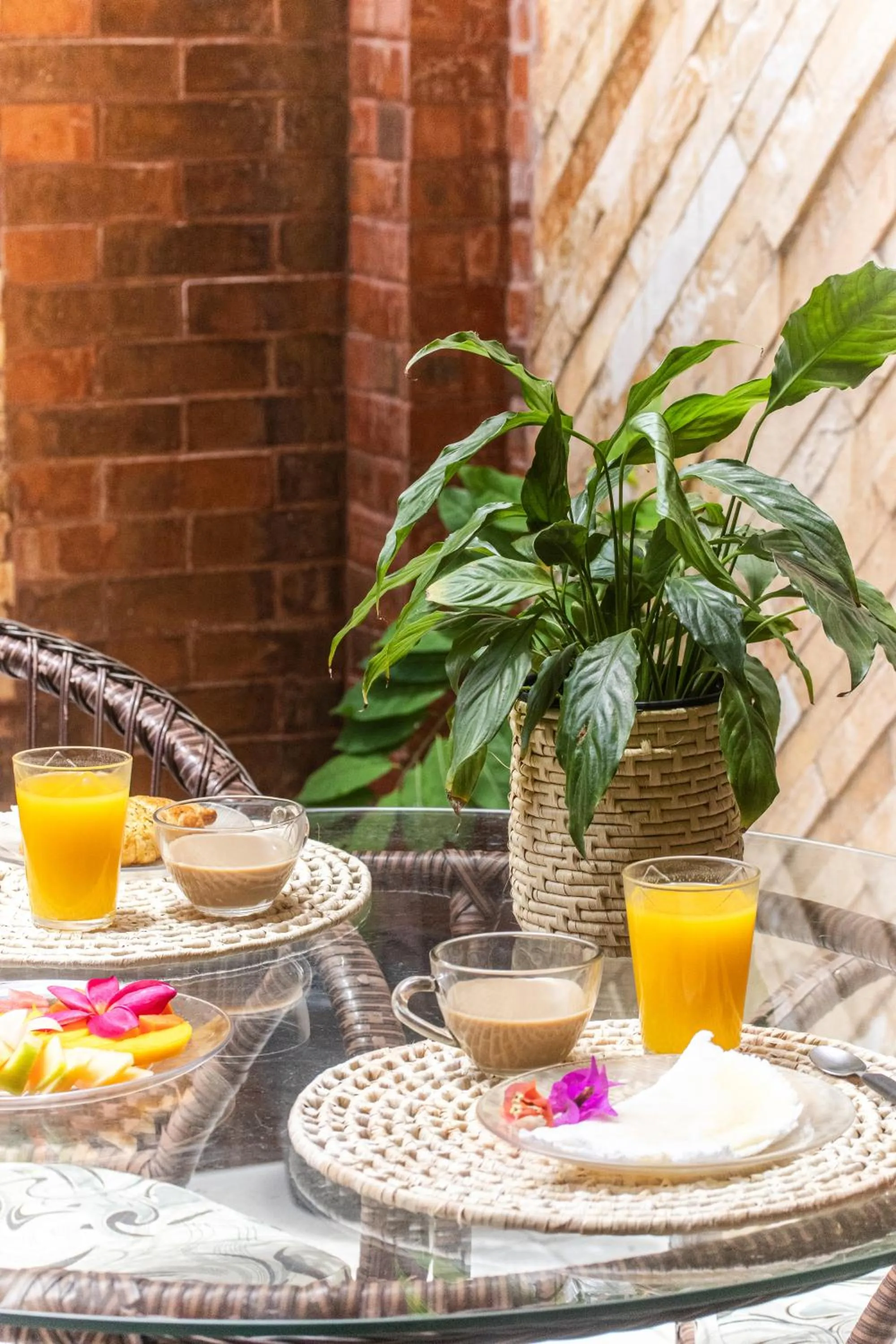 Pipas Ocean by Pipa Centro