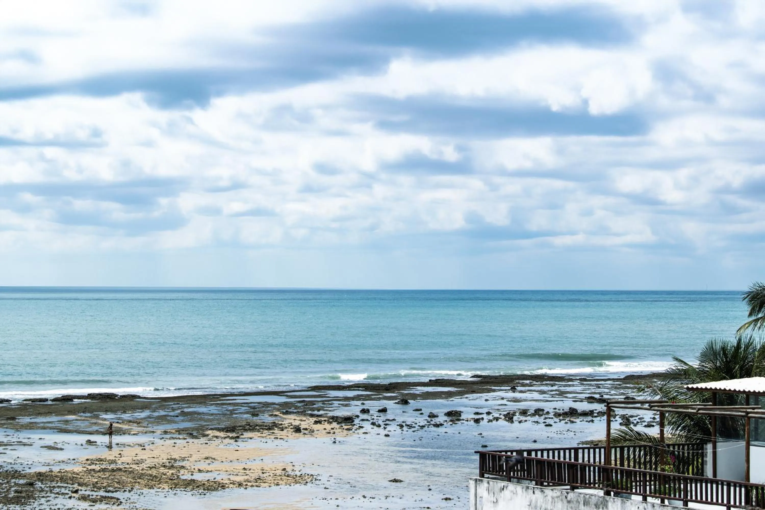 Pipas Ocean by Pipa Centro