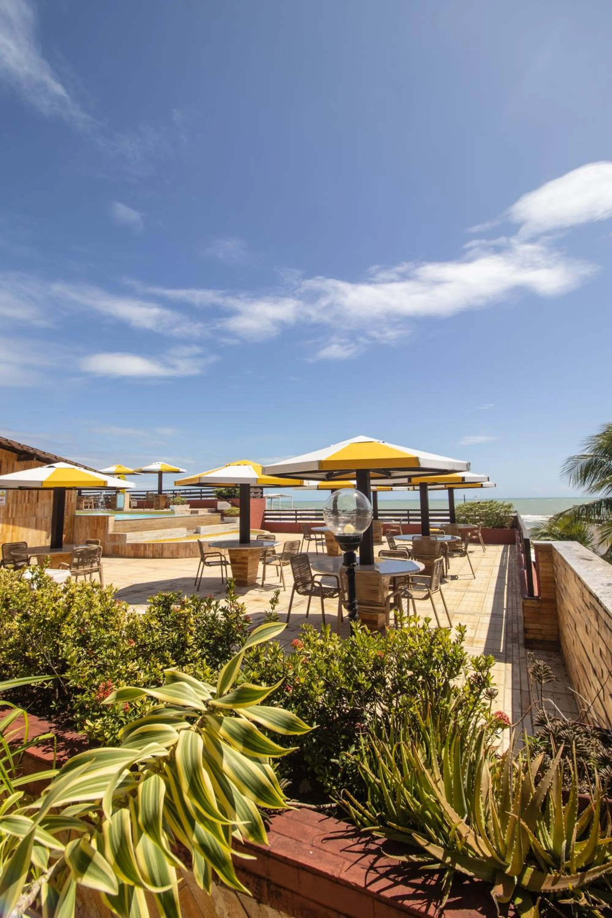 Pipas Ocean by Pipa Centro