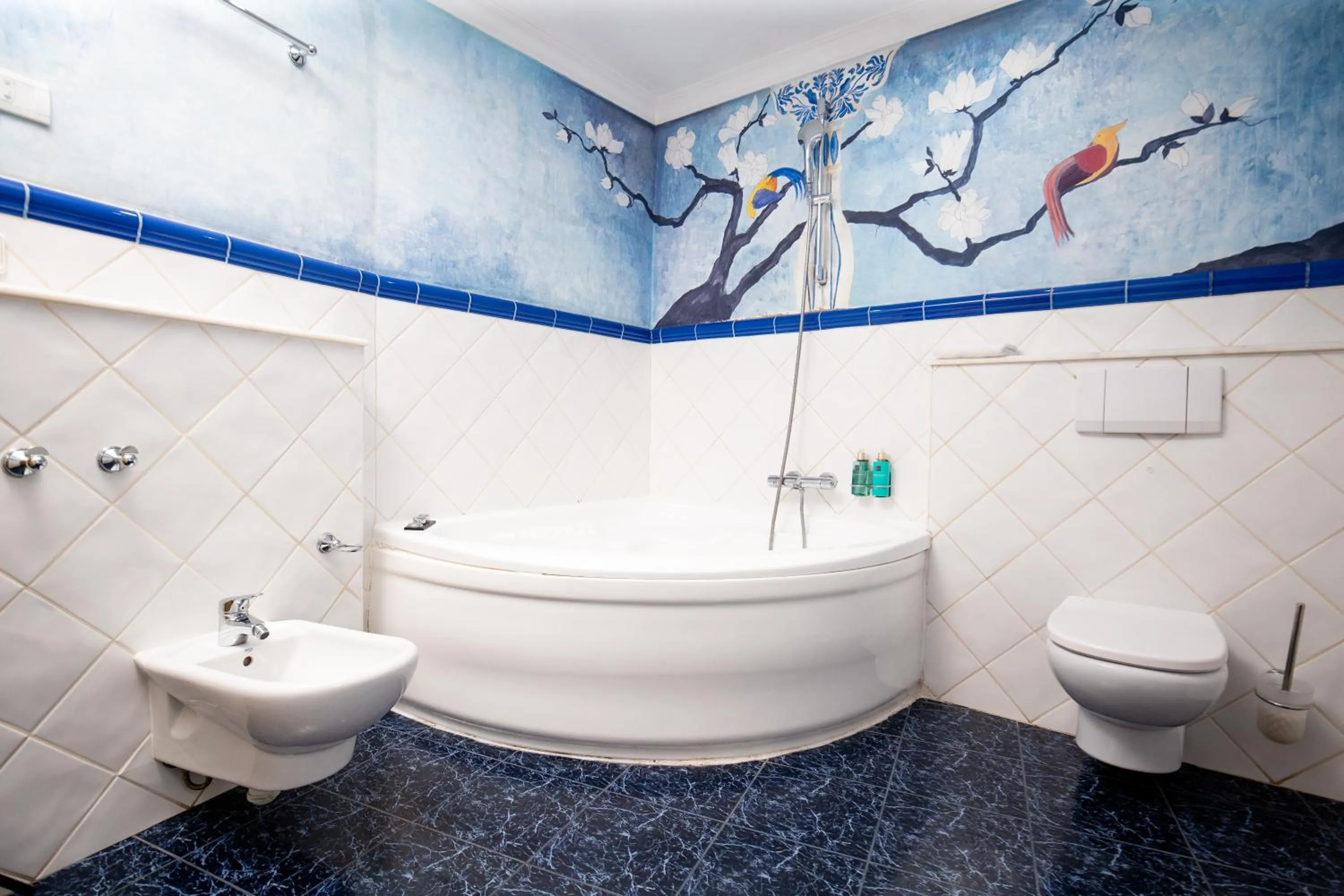 Bath in Hotel Nou Romà