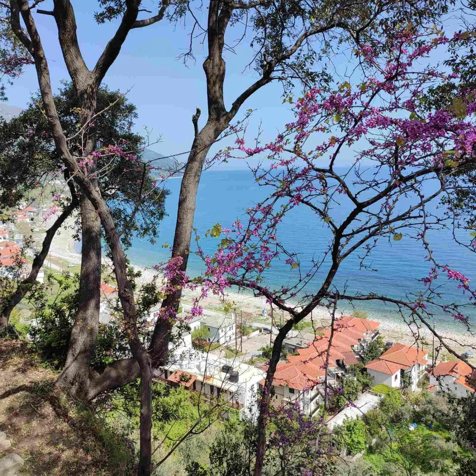 Natural landscape in Marabou Hotel Chorefto