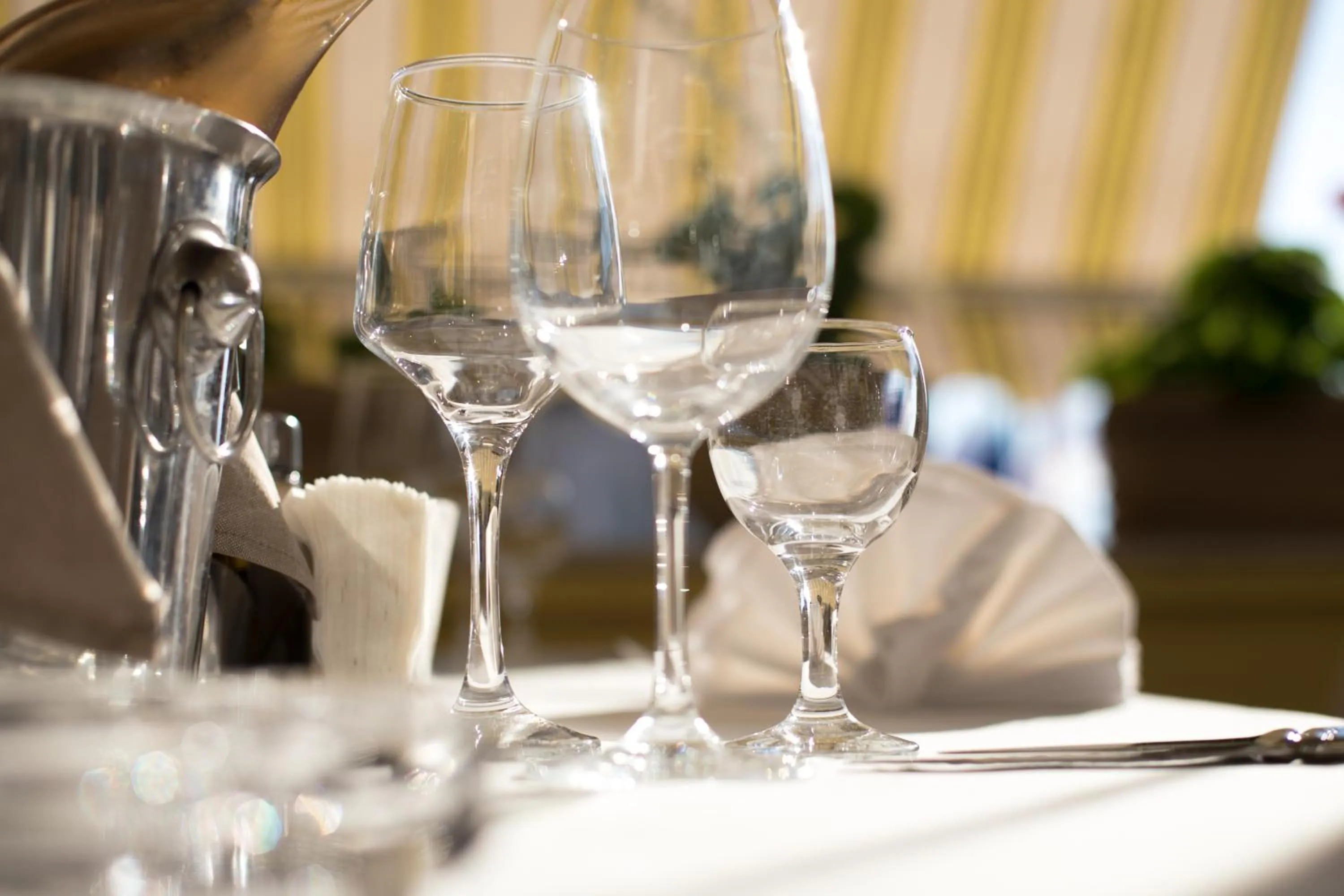 Restaurant/places to eat in Hotel Anna Palace