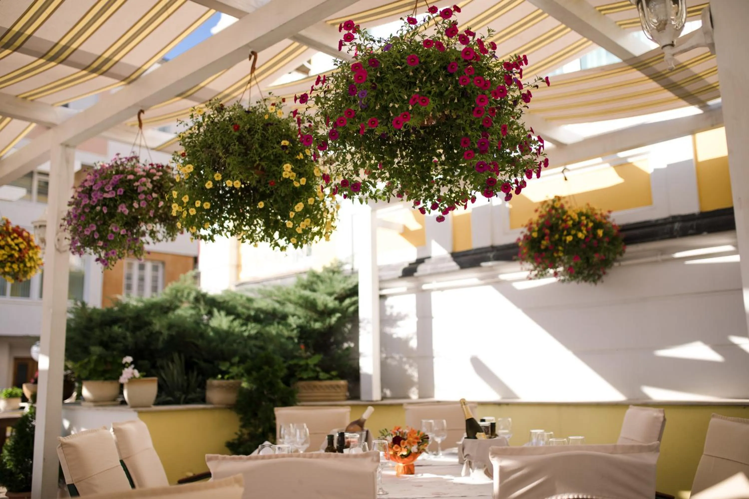 Restaurant/places to eat in Hotel Anna Palace