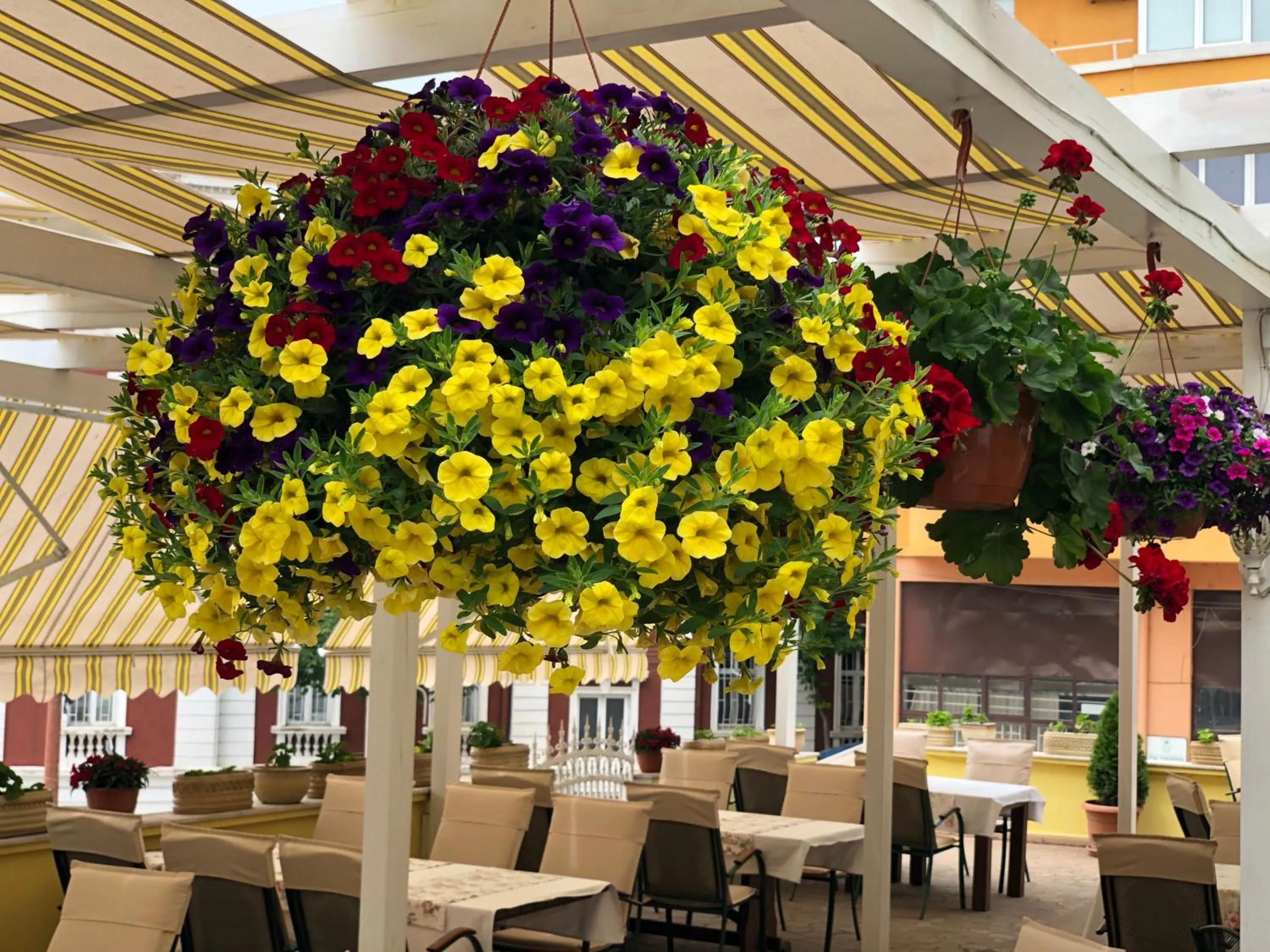 Restaurant/places to eat in Hotel Anna Palace