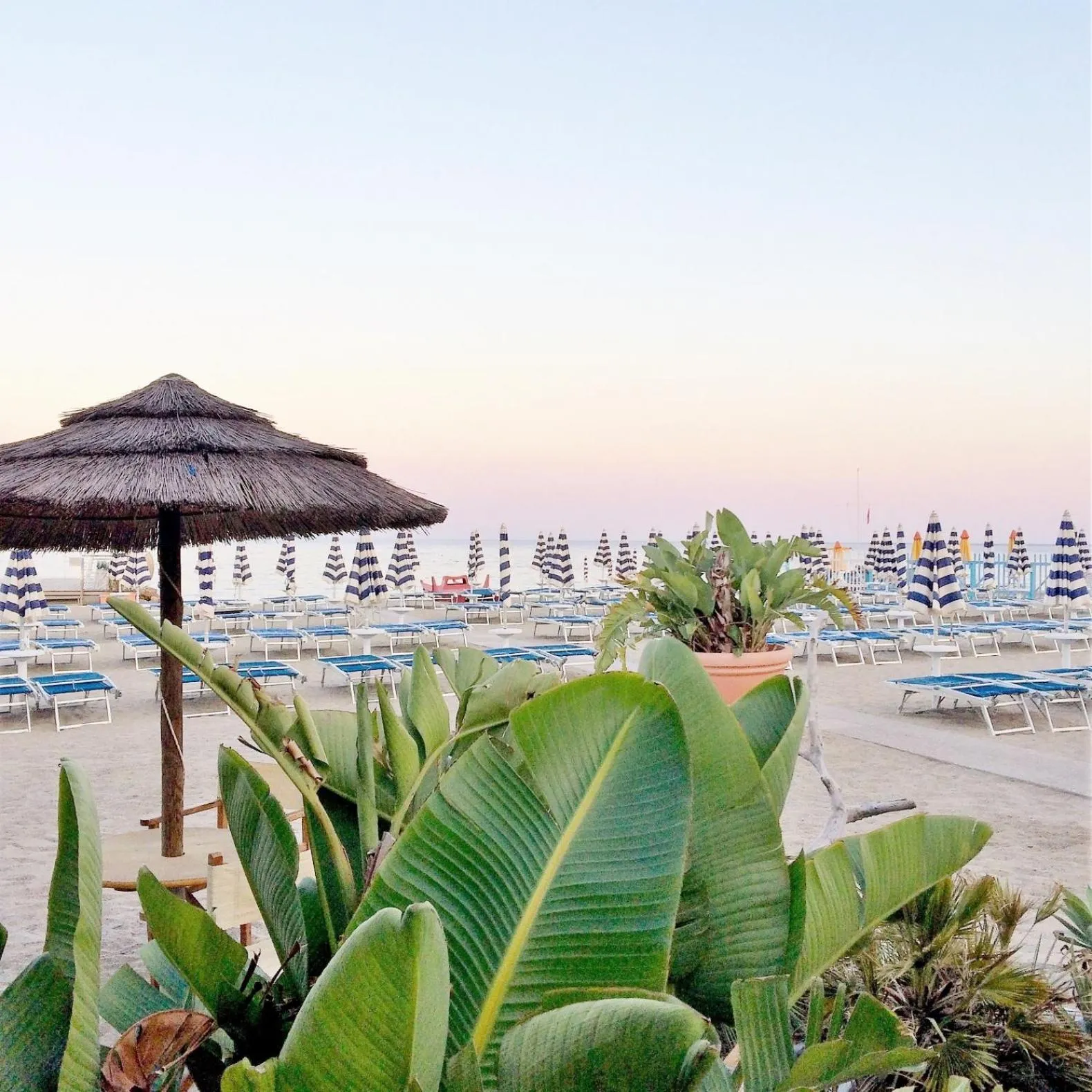 Summer in Hotel Tirreno