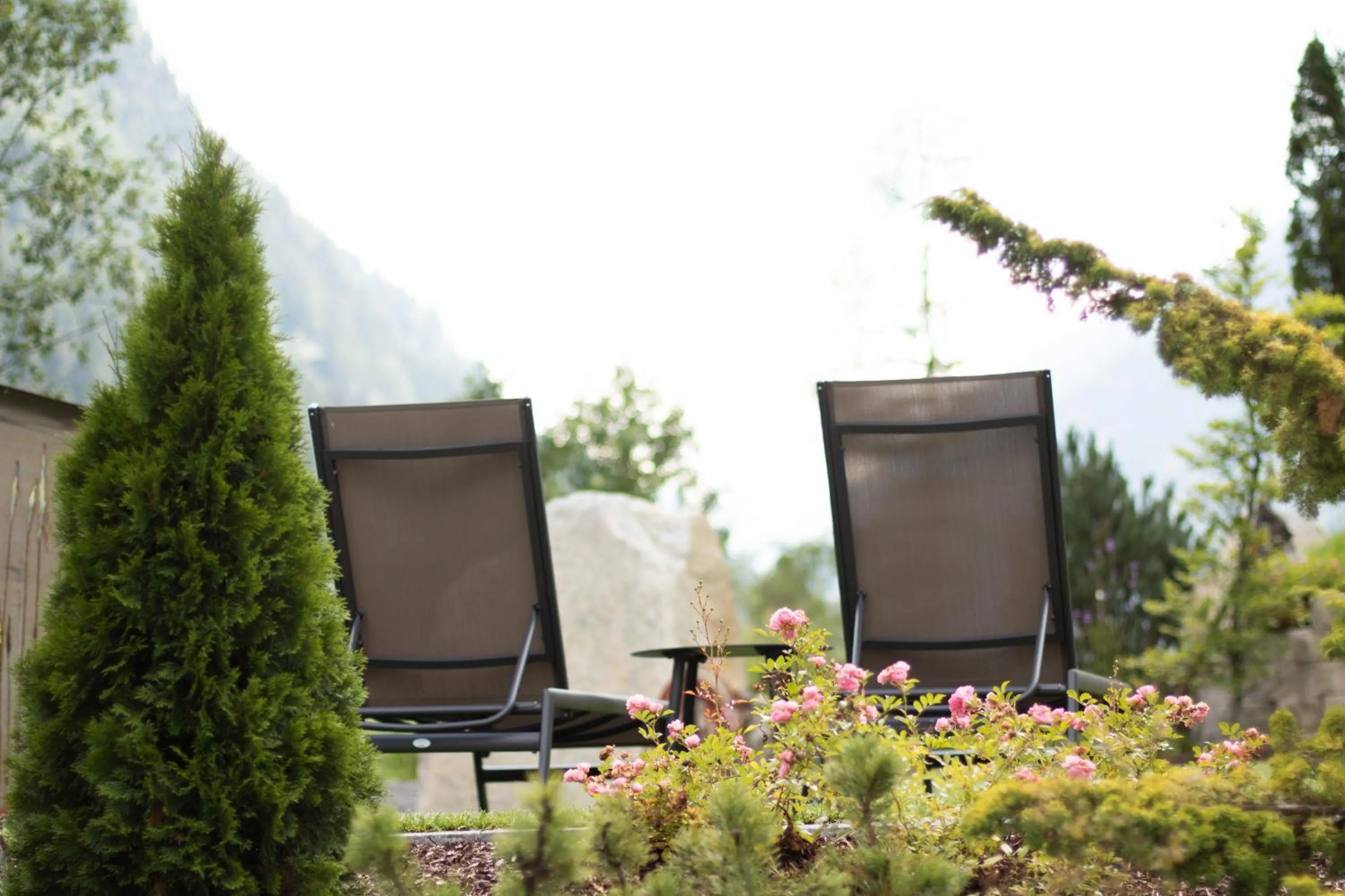 Day in Hotel Edelweiss