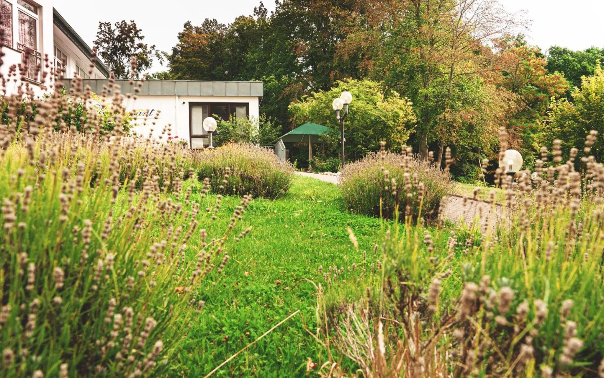 Patio in TaunusTagungsHotel