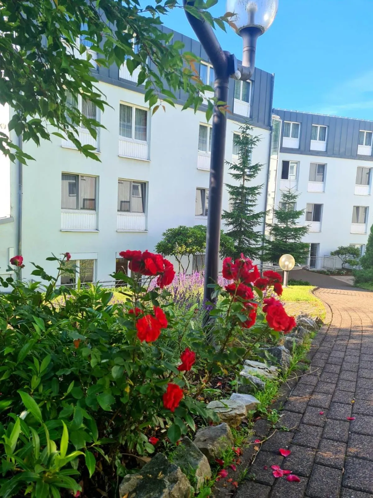 Patio in TaunusTagungsHotel