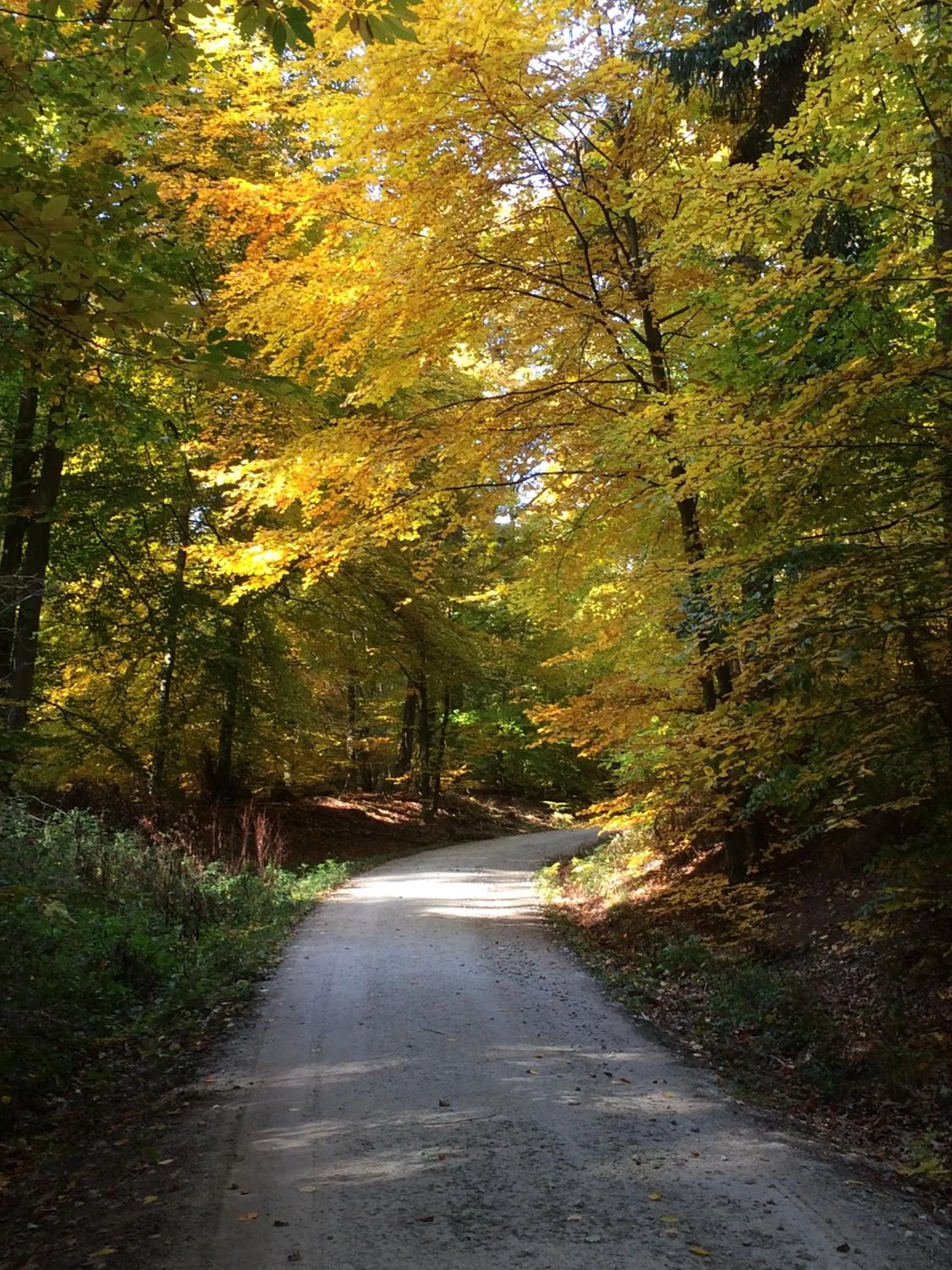 Neighbourhood in TaunusTagungsHotel
