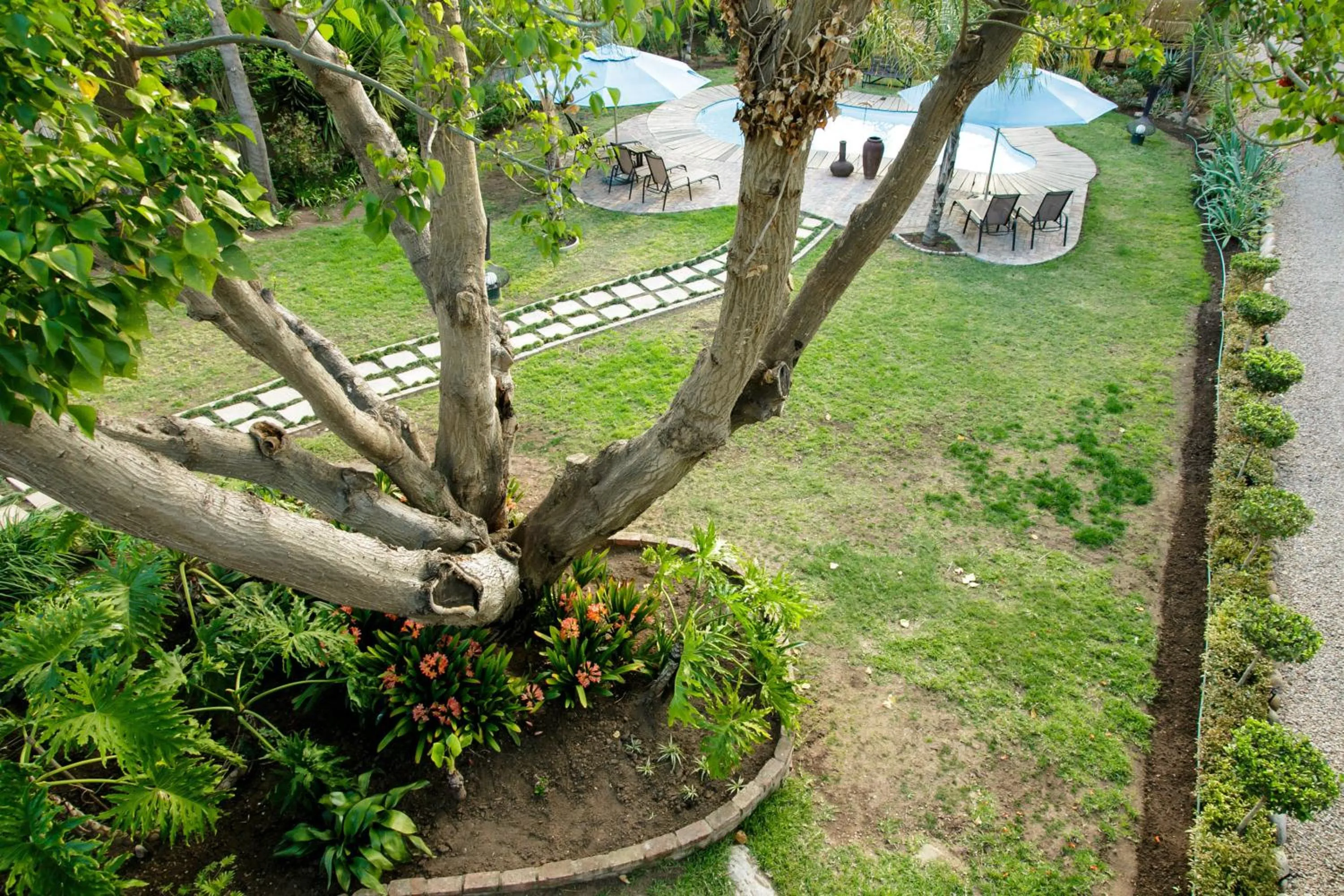 Garden in Oakdene Guest House