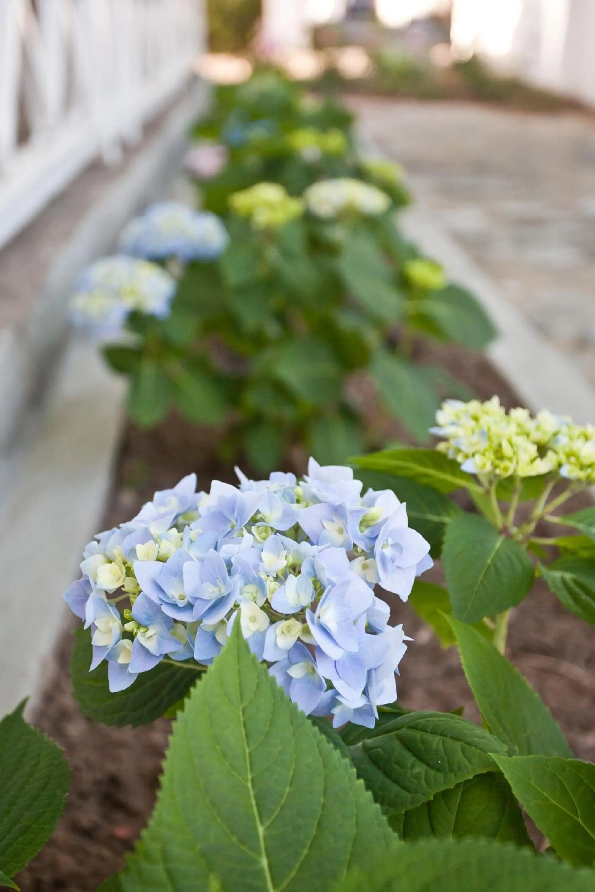 Facade/entrance in Oakdene Guest House