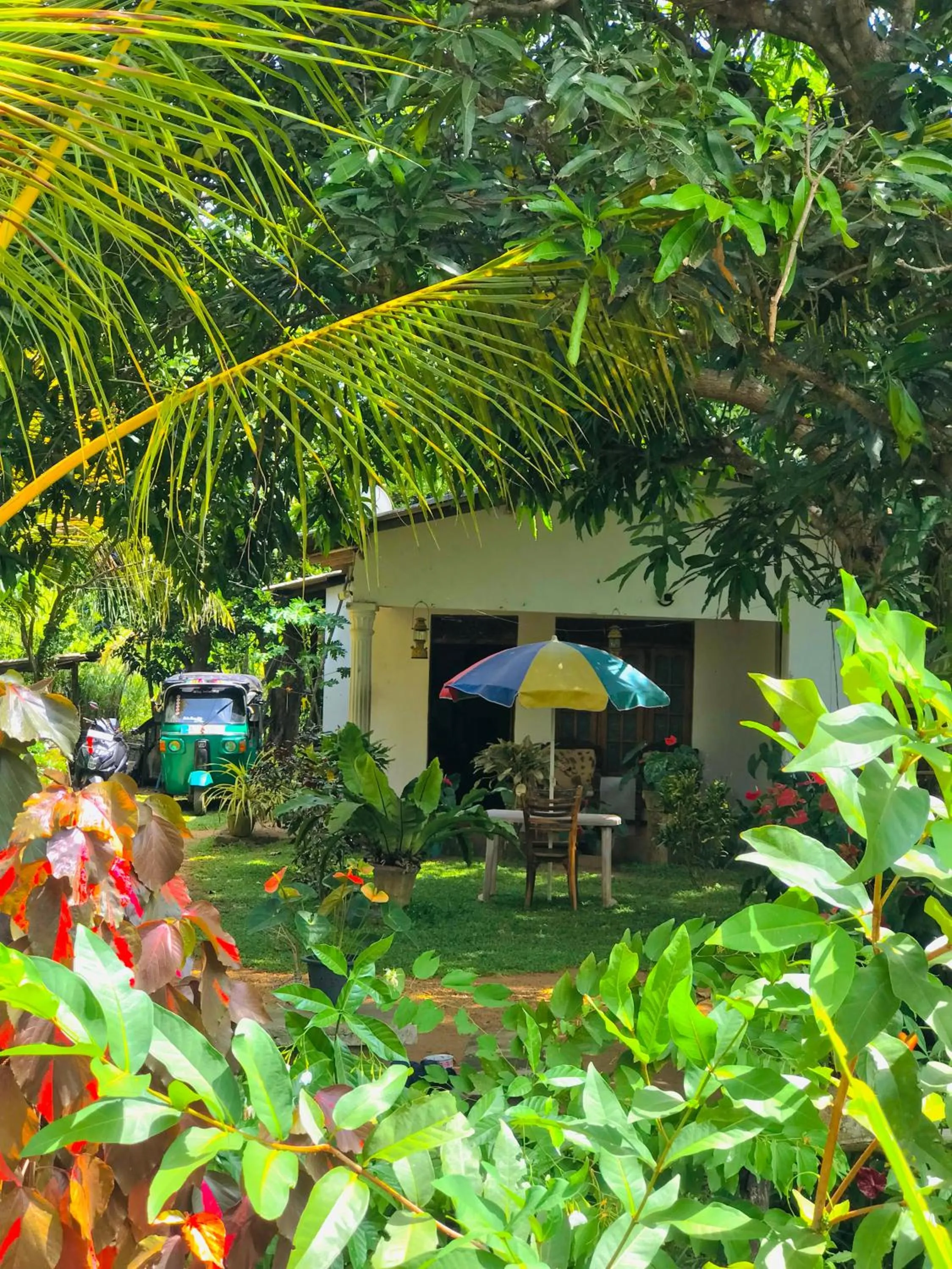 Garden in Sigiri Lakshan Home Stay