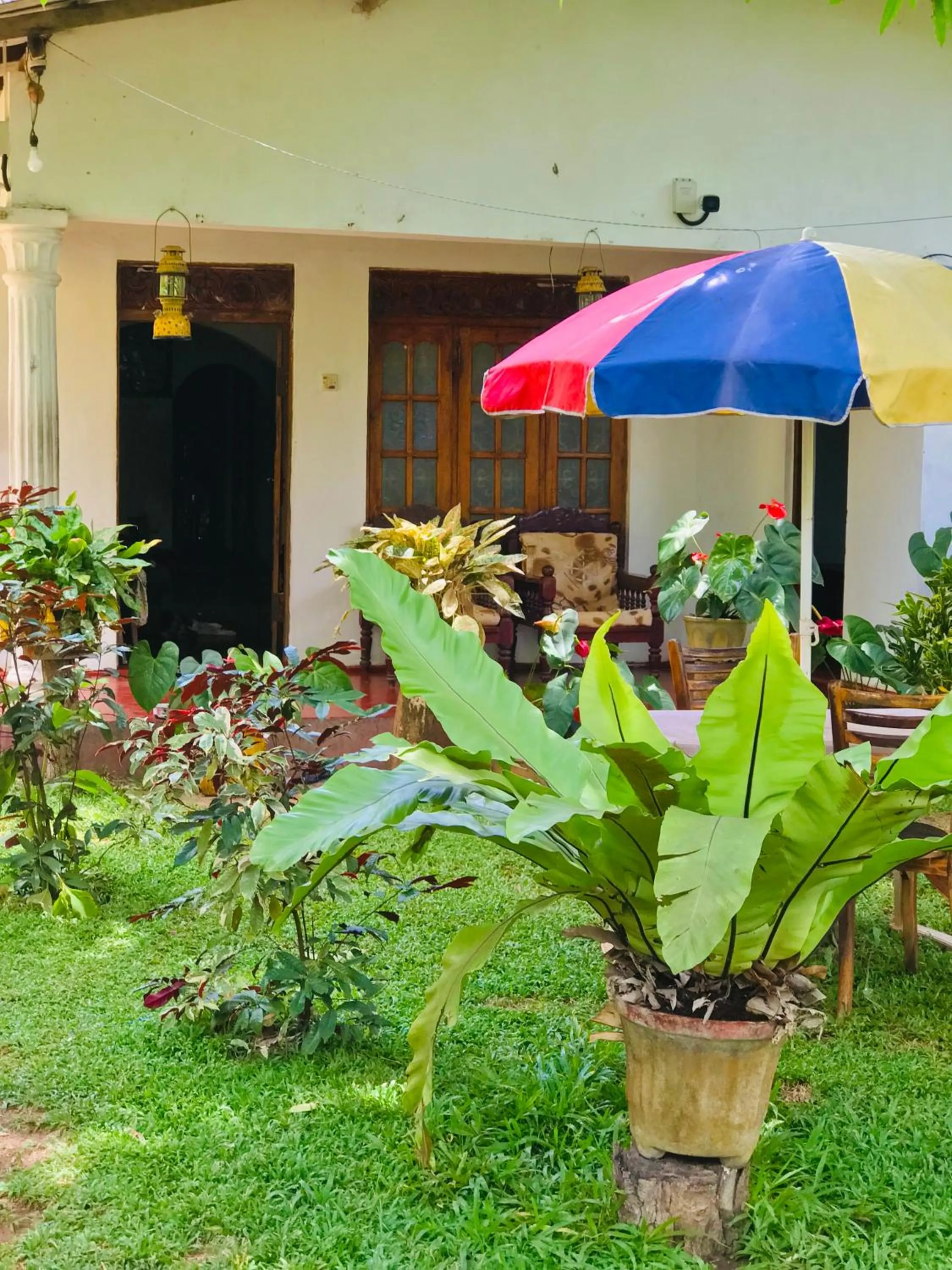 Garden in Sigiri Lakshan Home Stay