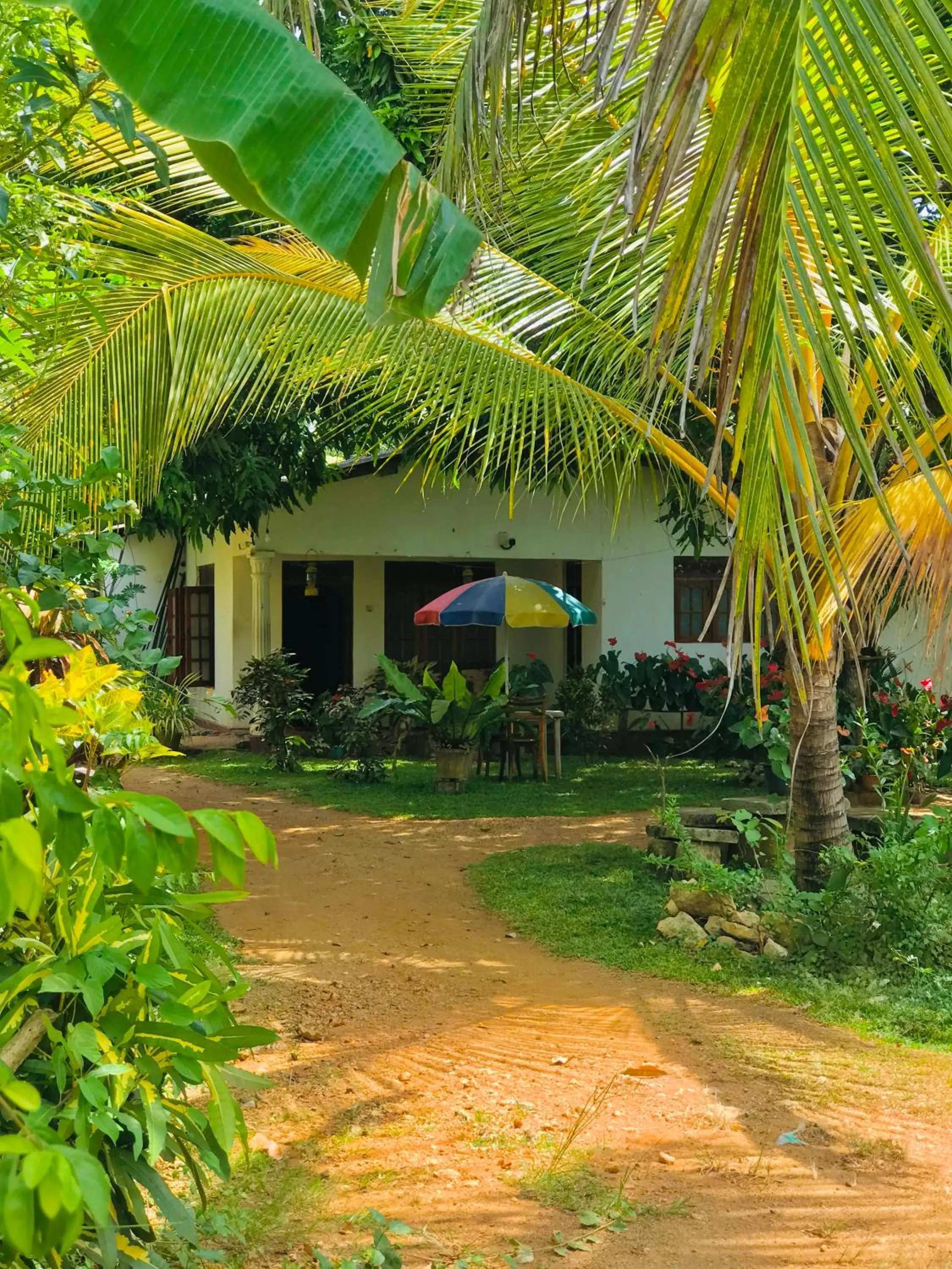 Garden in Sigiri Lakshan Home Stay