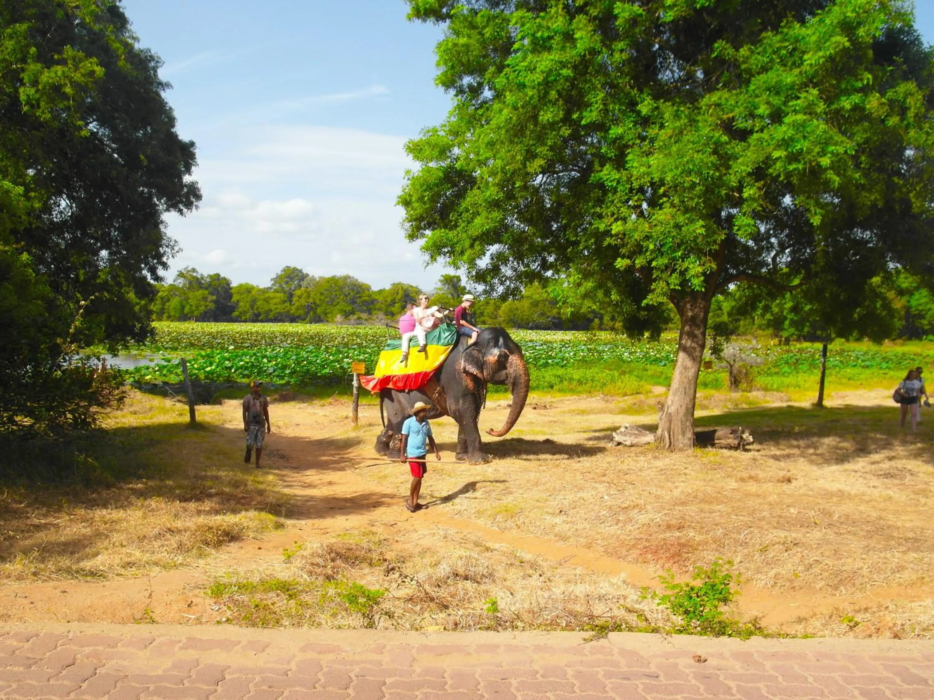 Other in Sigiri Lakshan Home Stay