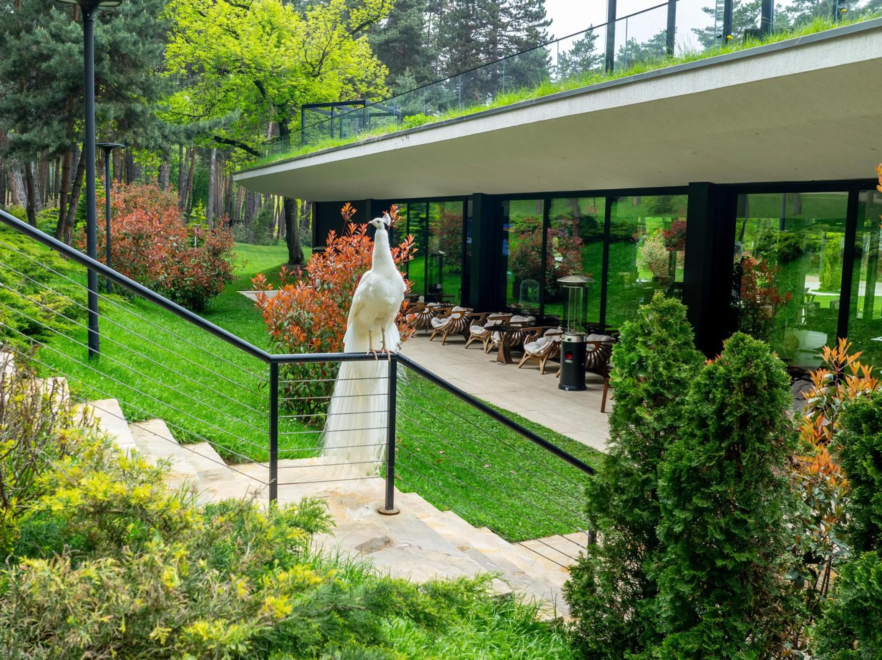 Restaurant/places to eat in Bioli Wellness Resort