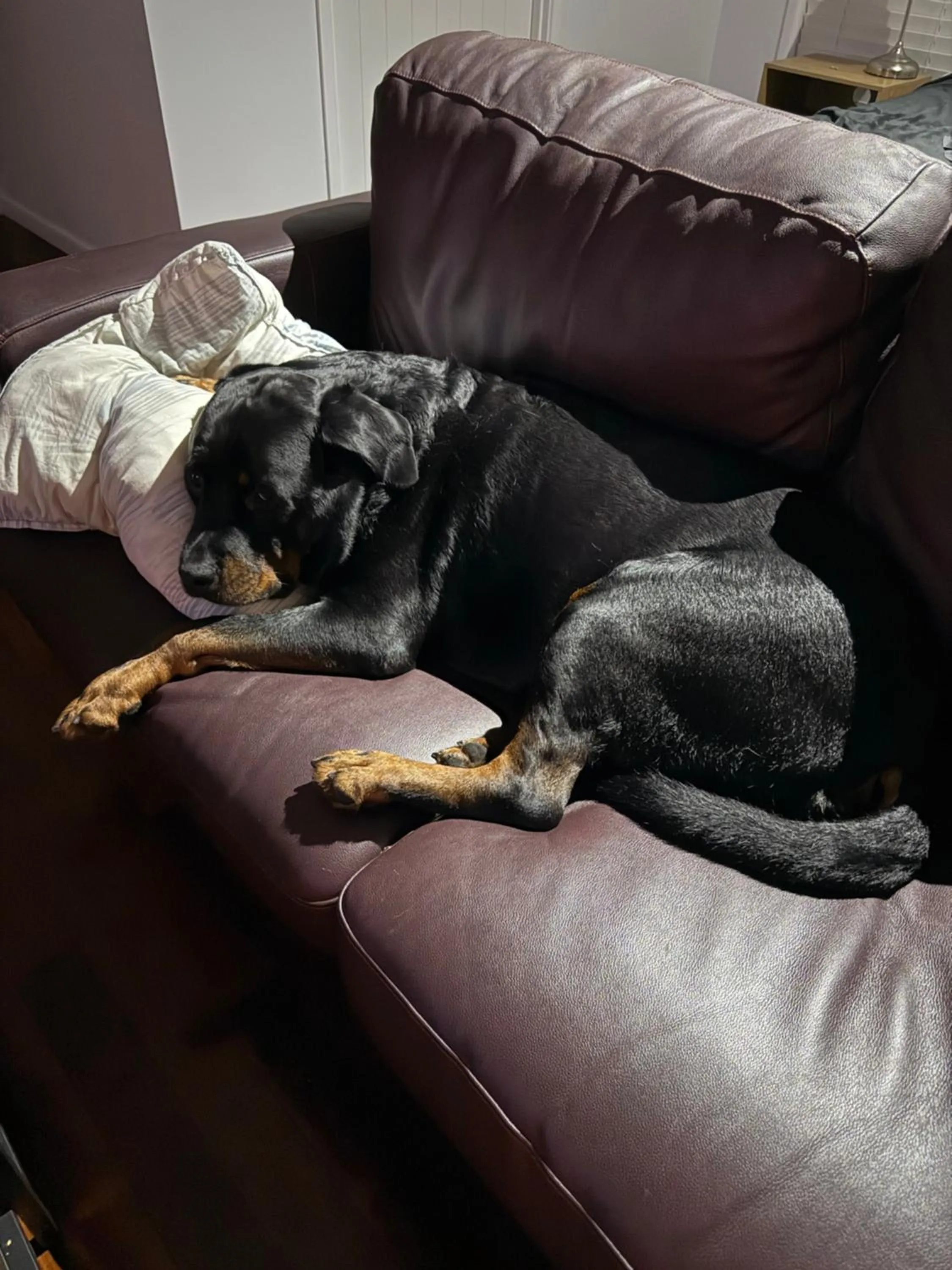 Amore On Buderim Rainforest Cabins